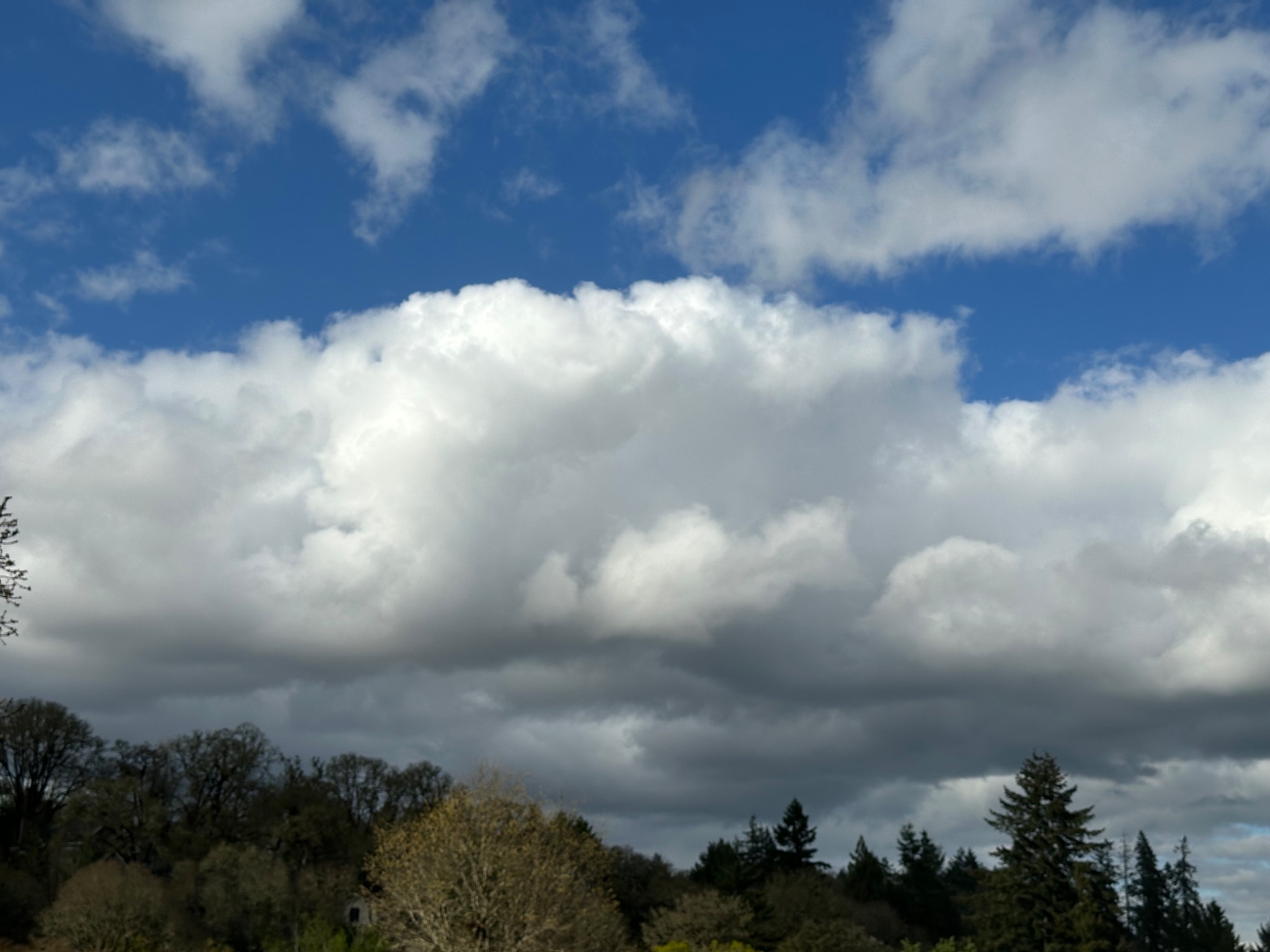 Community photo by Victoria