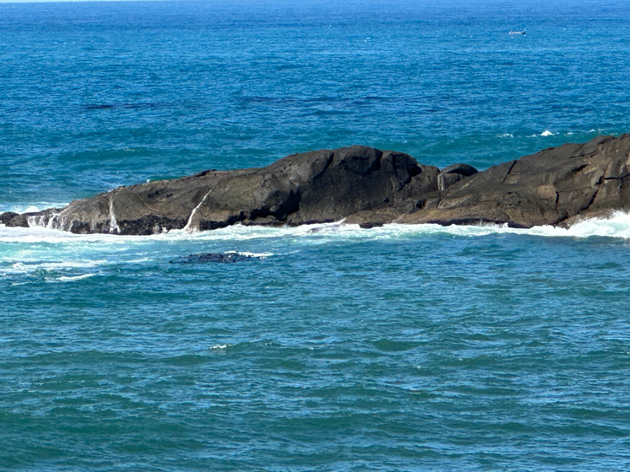 Community photo by Victoria