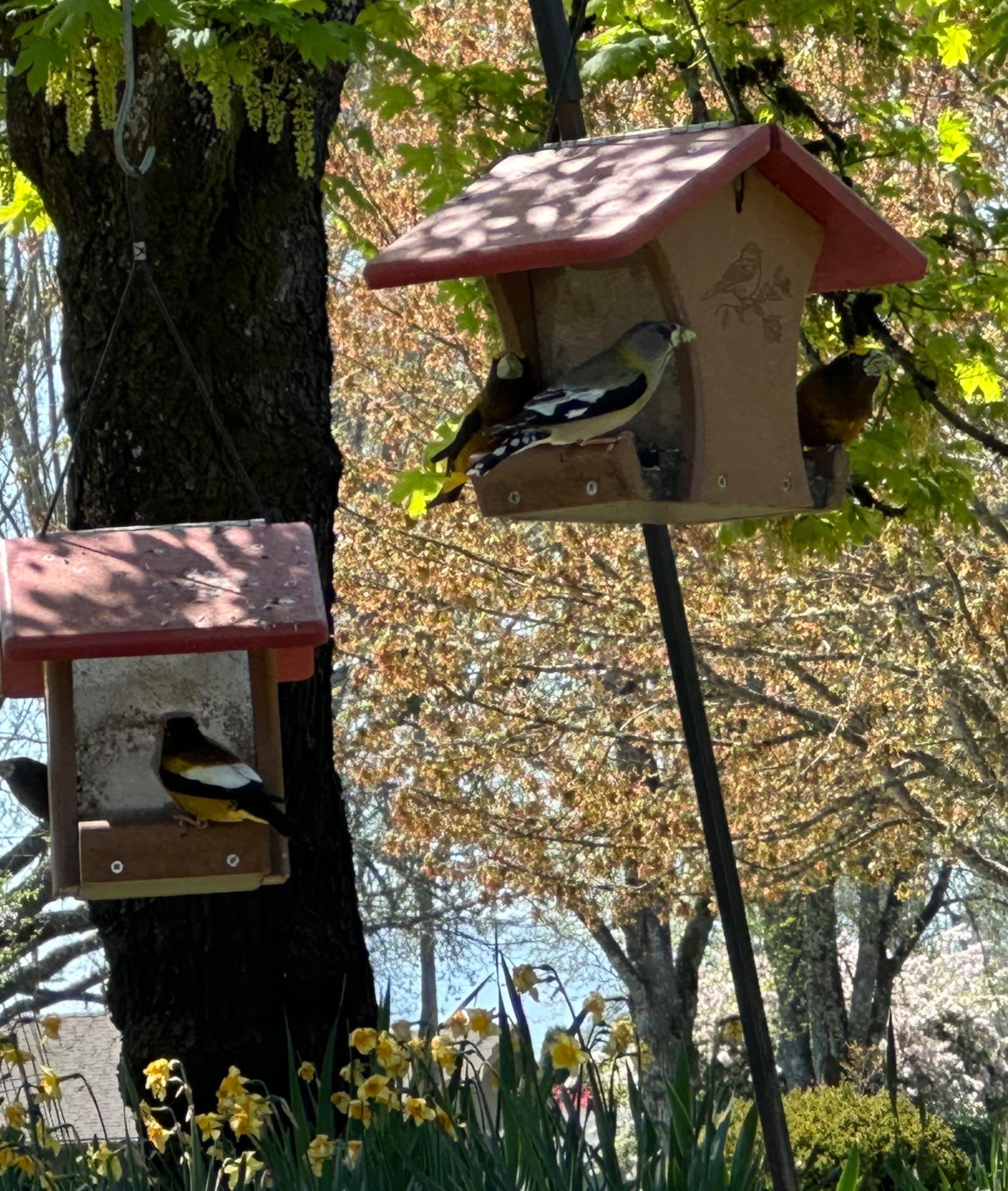 Community photo by Victoria