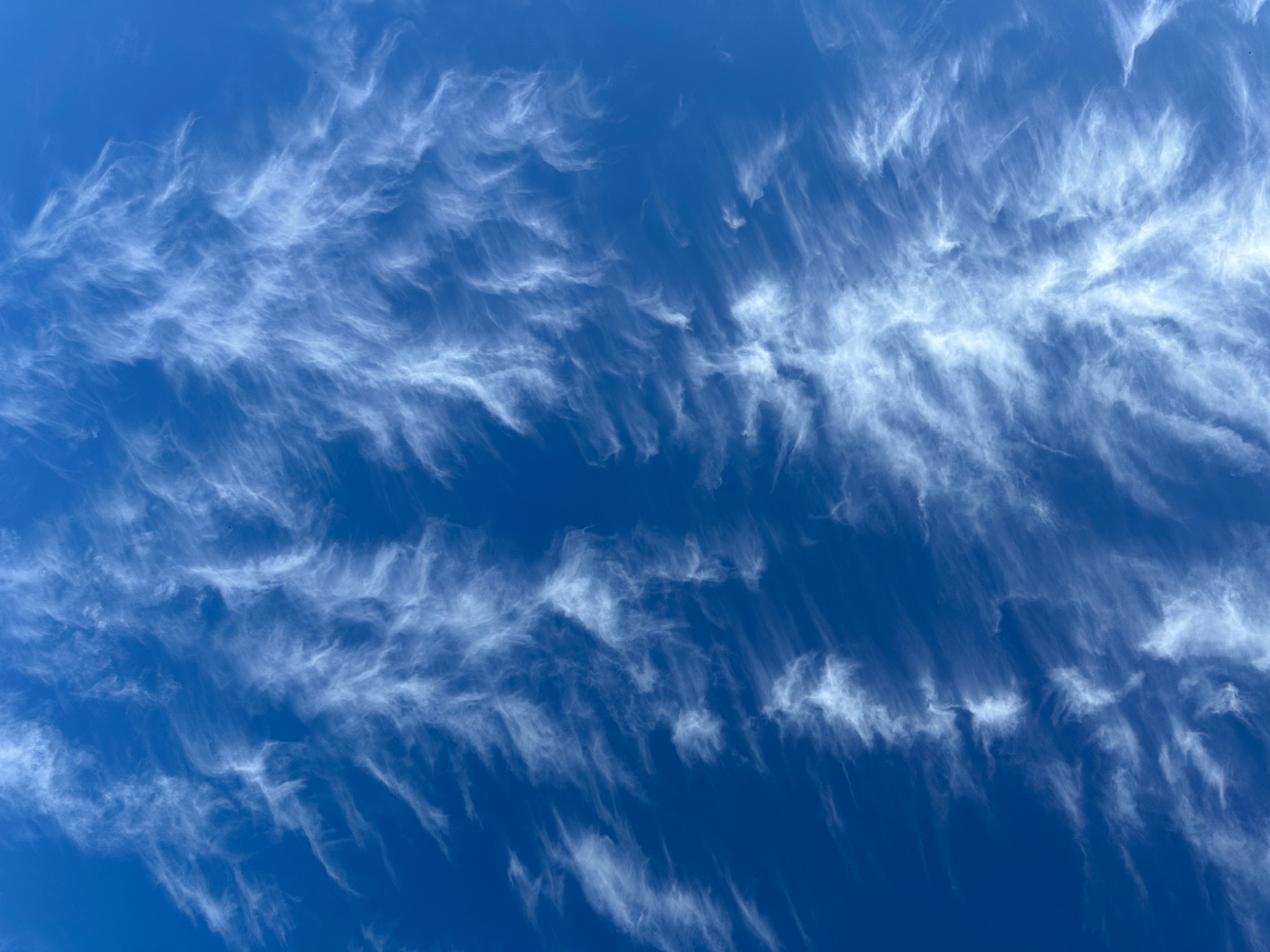 Community photo by Victoria