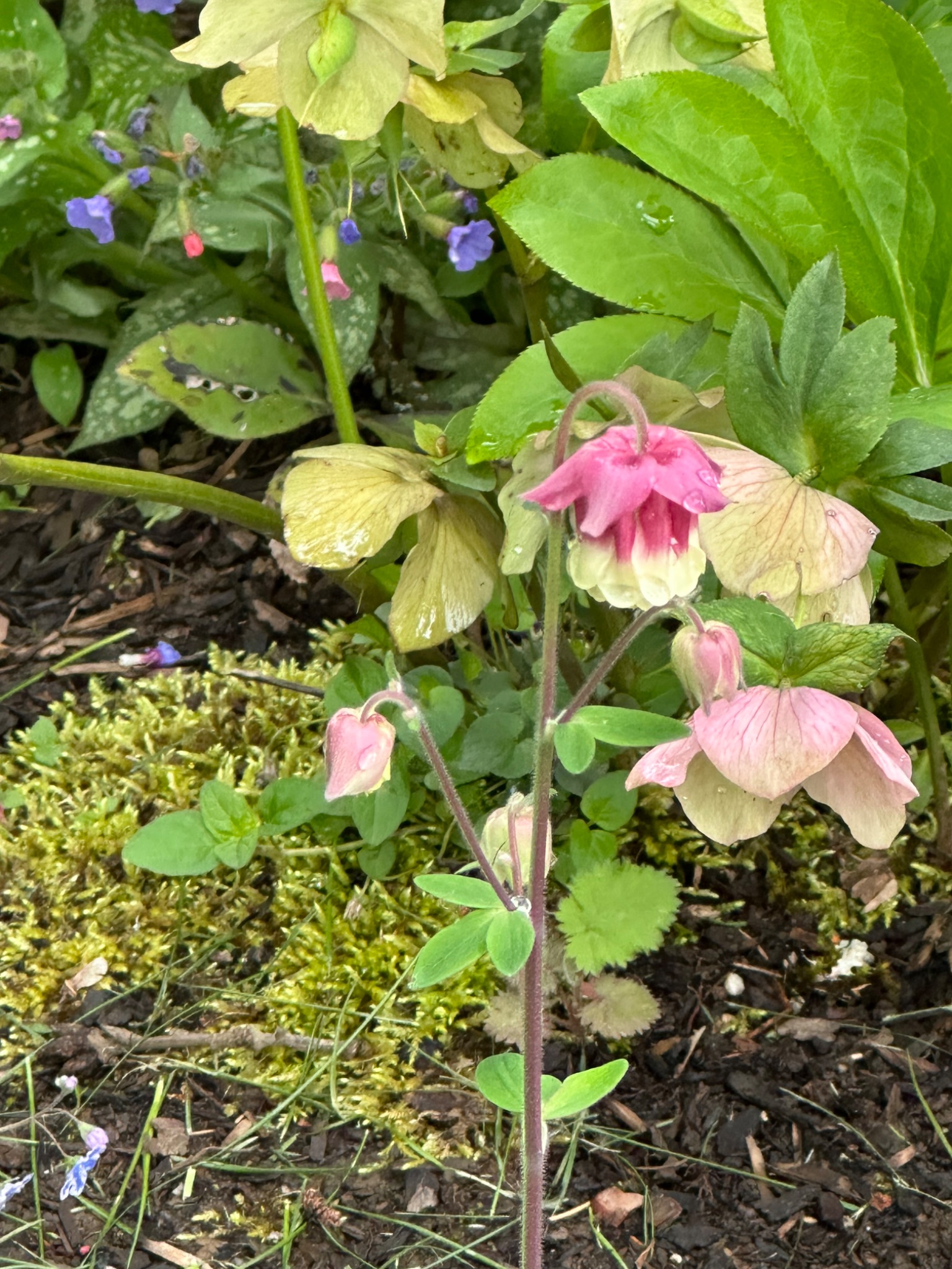 Community photo by Victoria