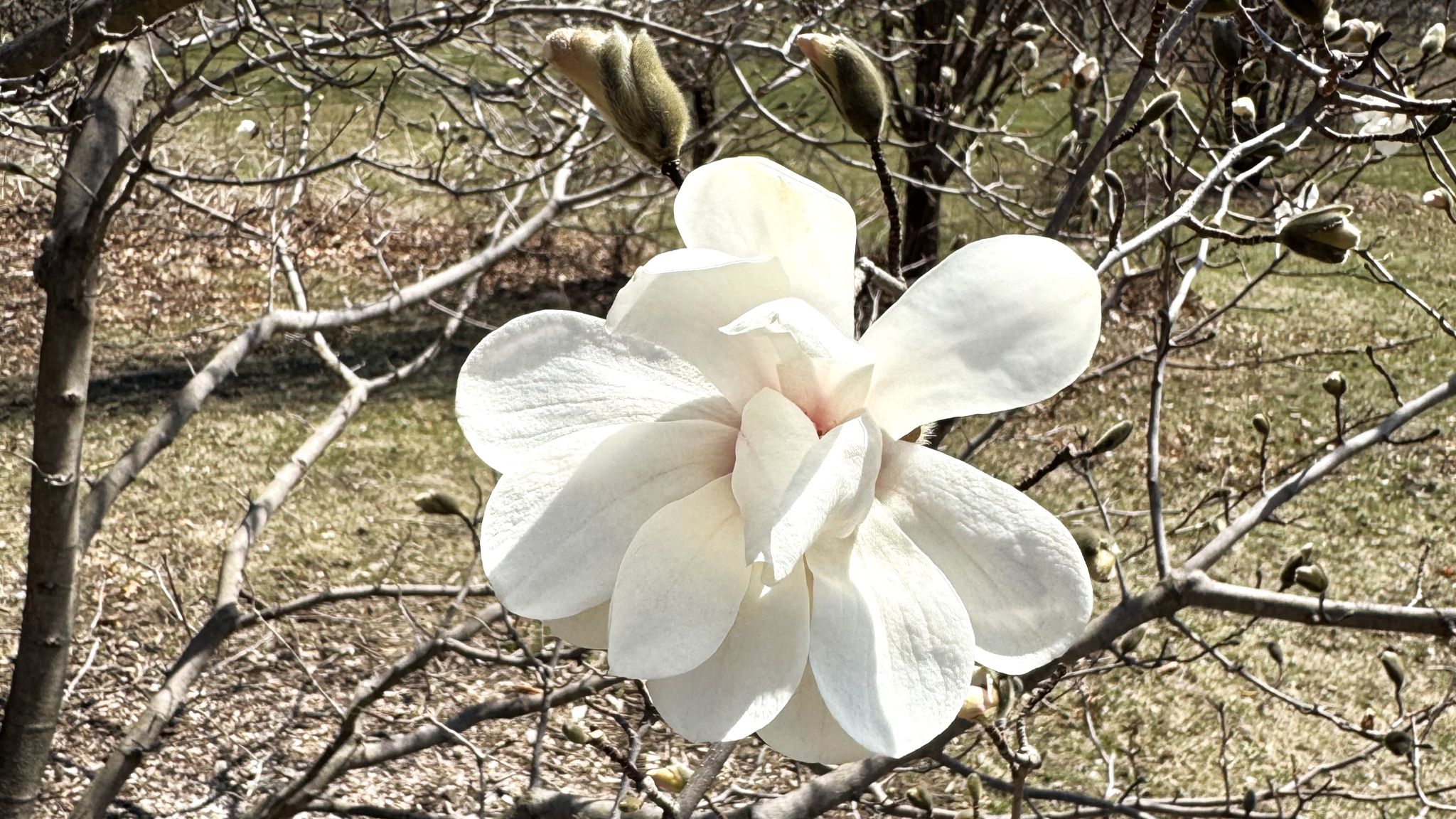 Community photo by Kelly Kizer Whitt | Madison, Wisconsin