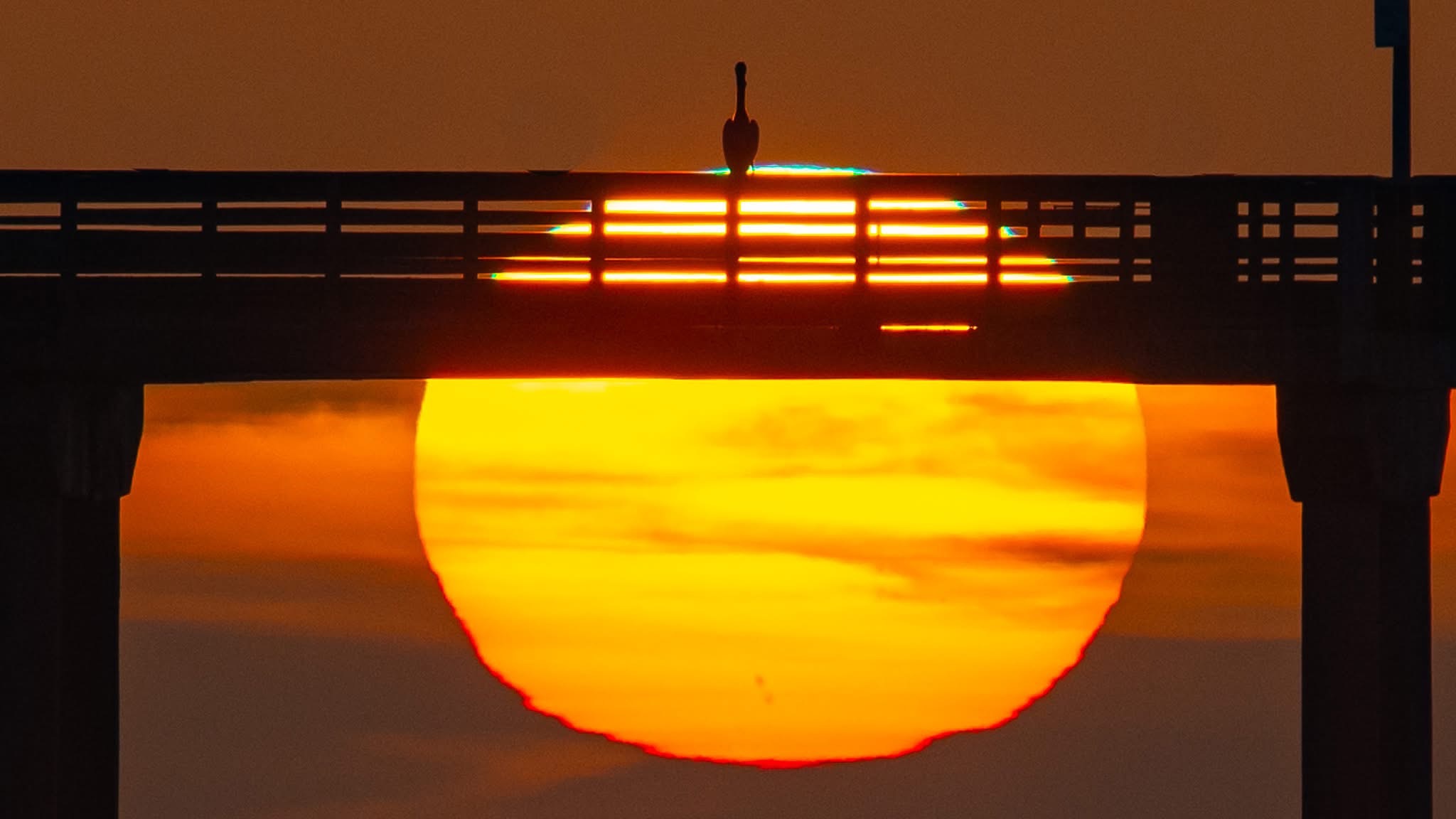 Community photo by Jim Grant | Ocean beach pier , San Diego ca