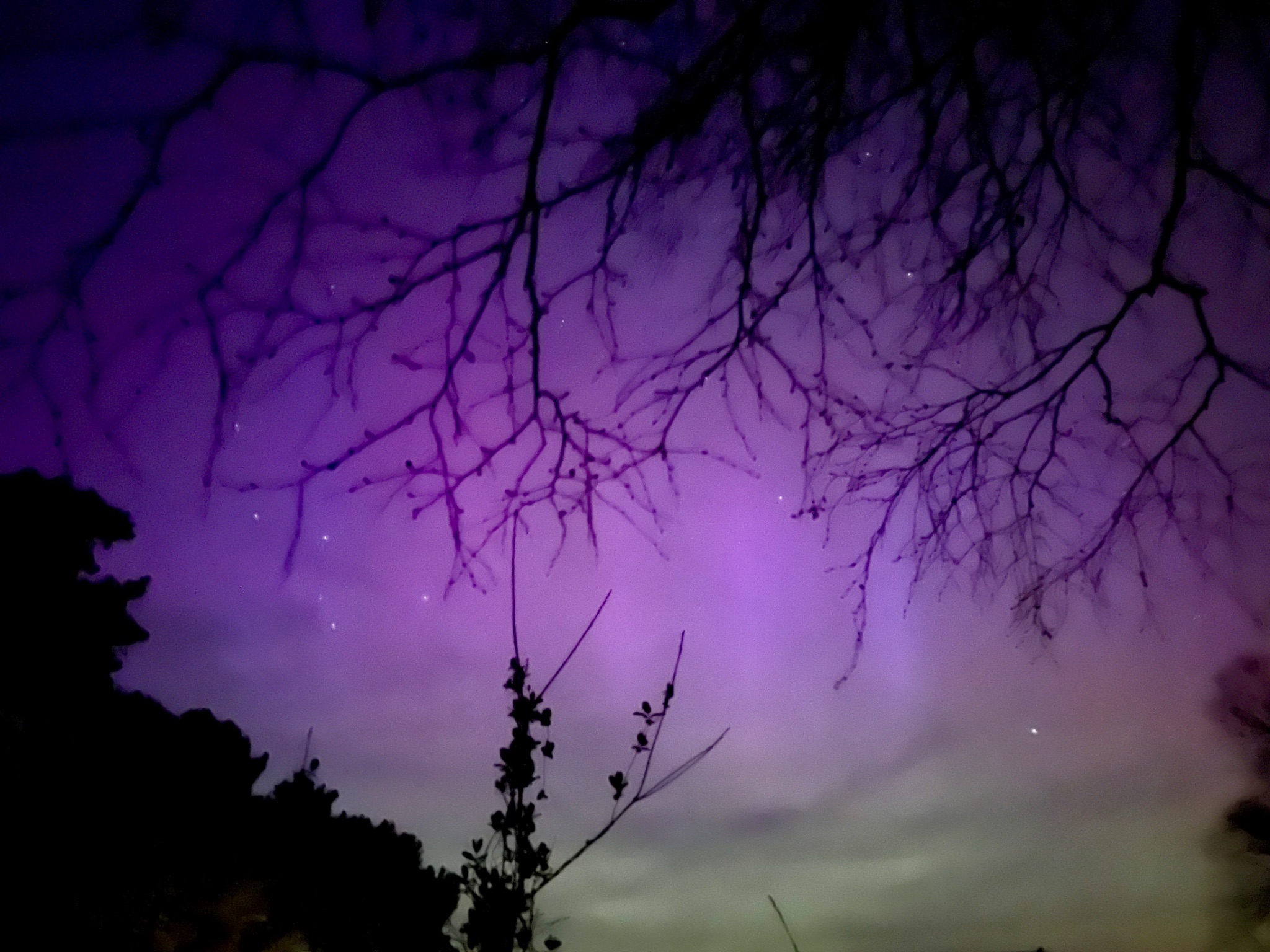 Community photo by Lone