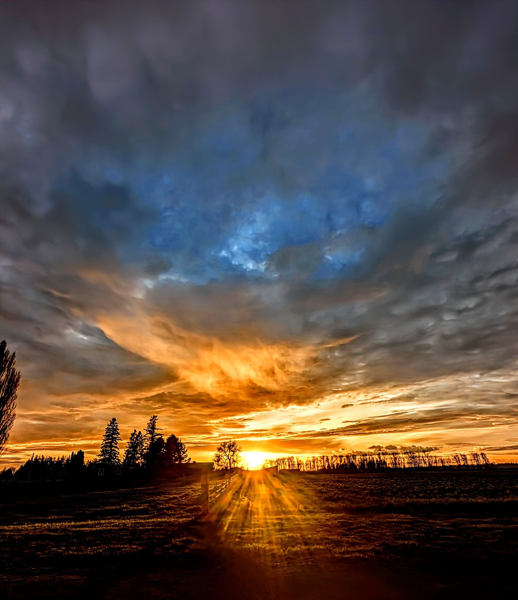 Community photo by Marilyn Grady | Sumas, Washington