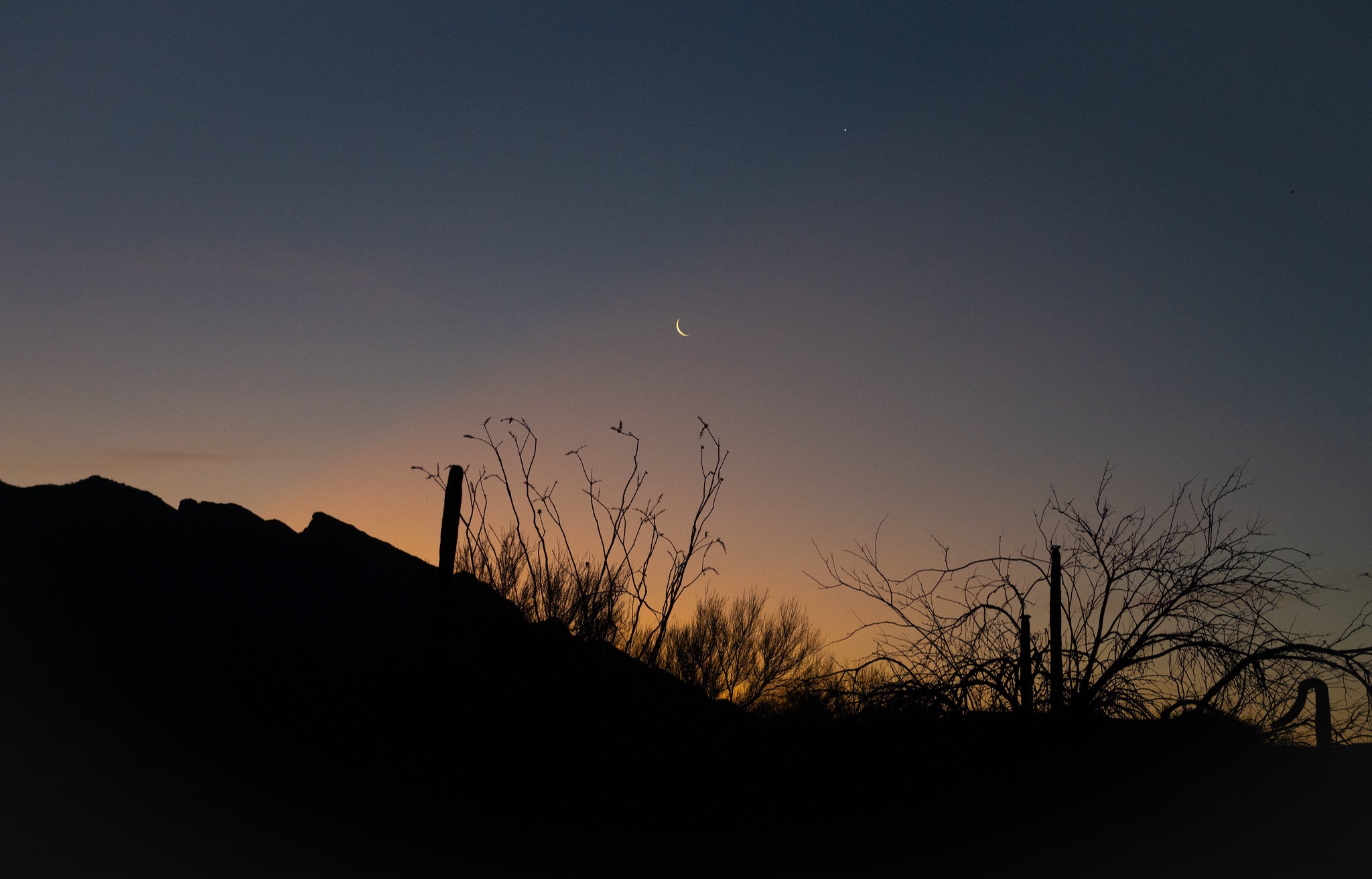 Community photo by Eliot Herman | Tucson AZ
