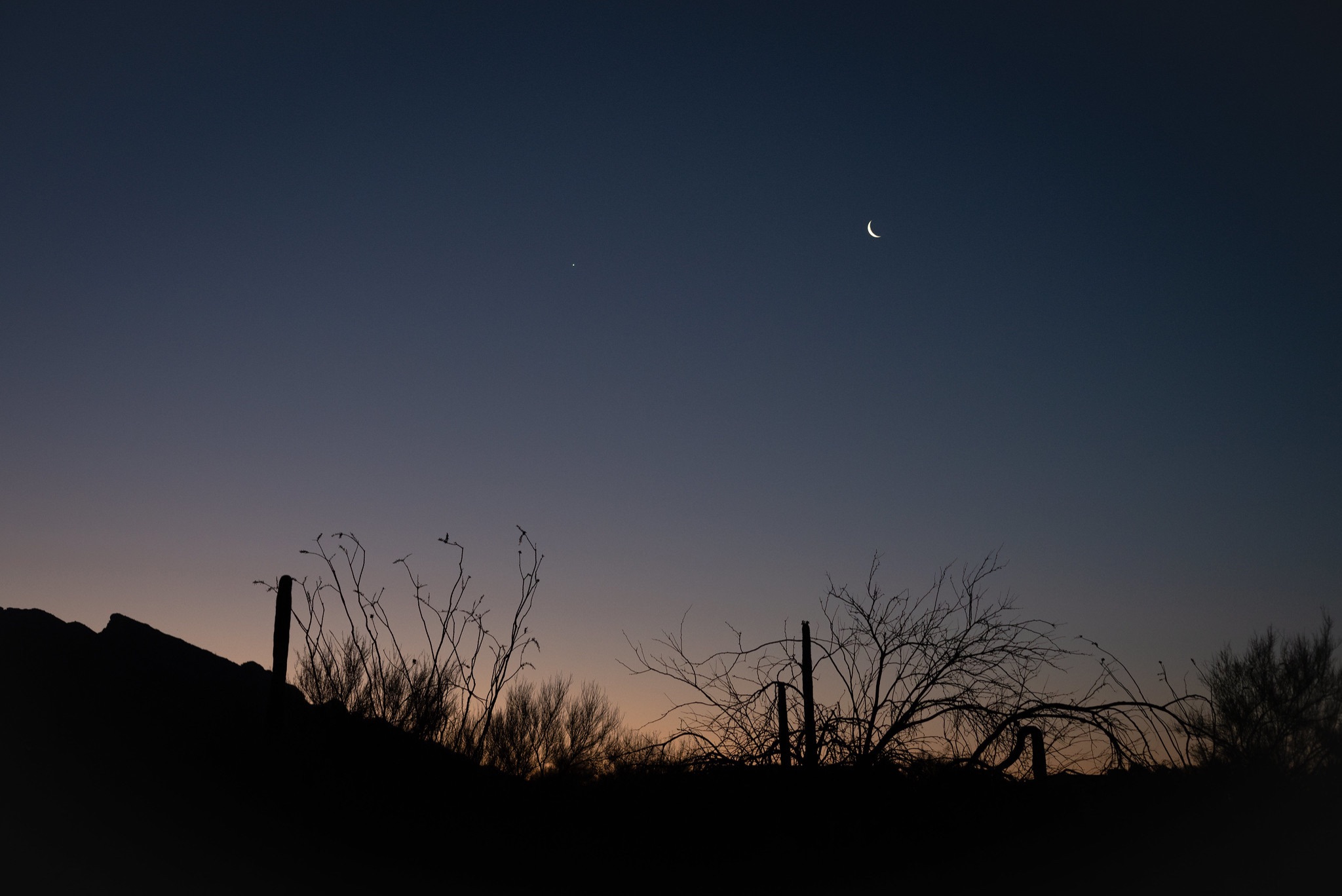 Community photo by Eliot Herman | Tucson AZ