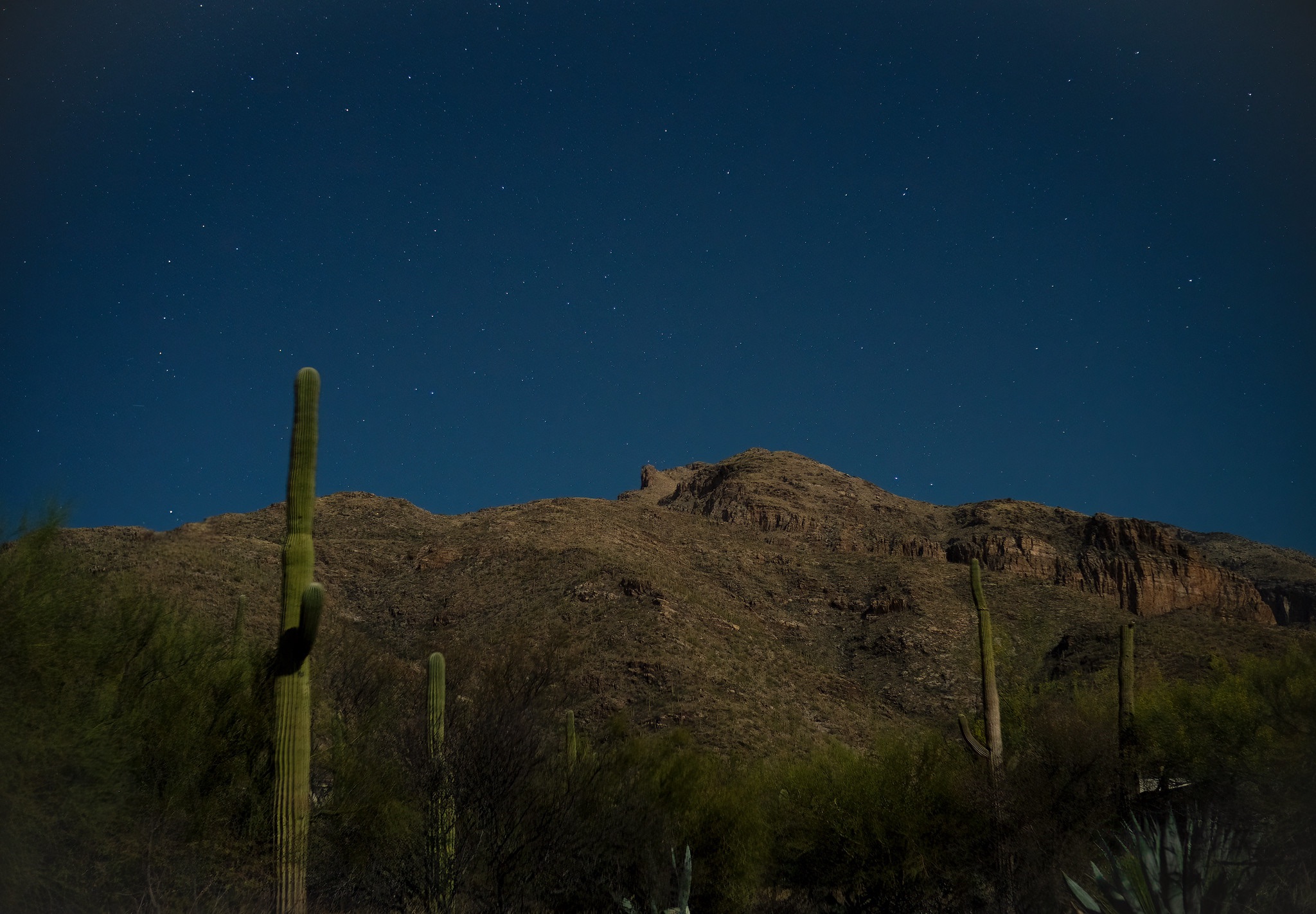 Community photo by Eliot Herman | Tucson, AZ