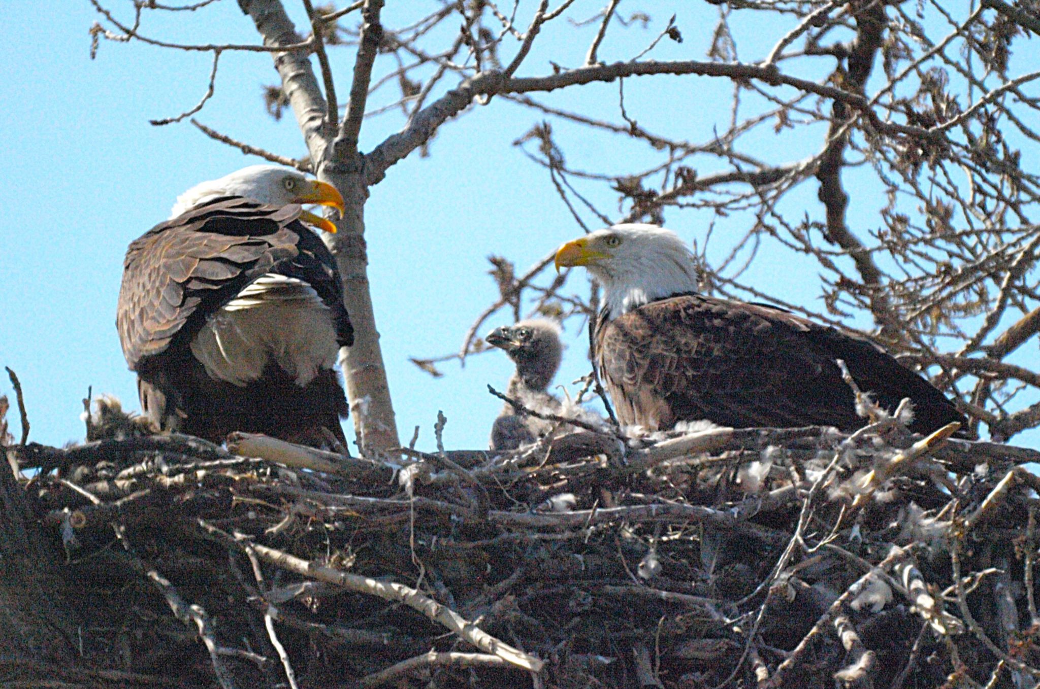 Community photo by Randy