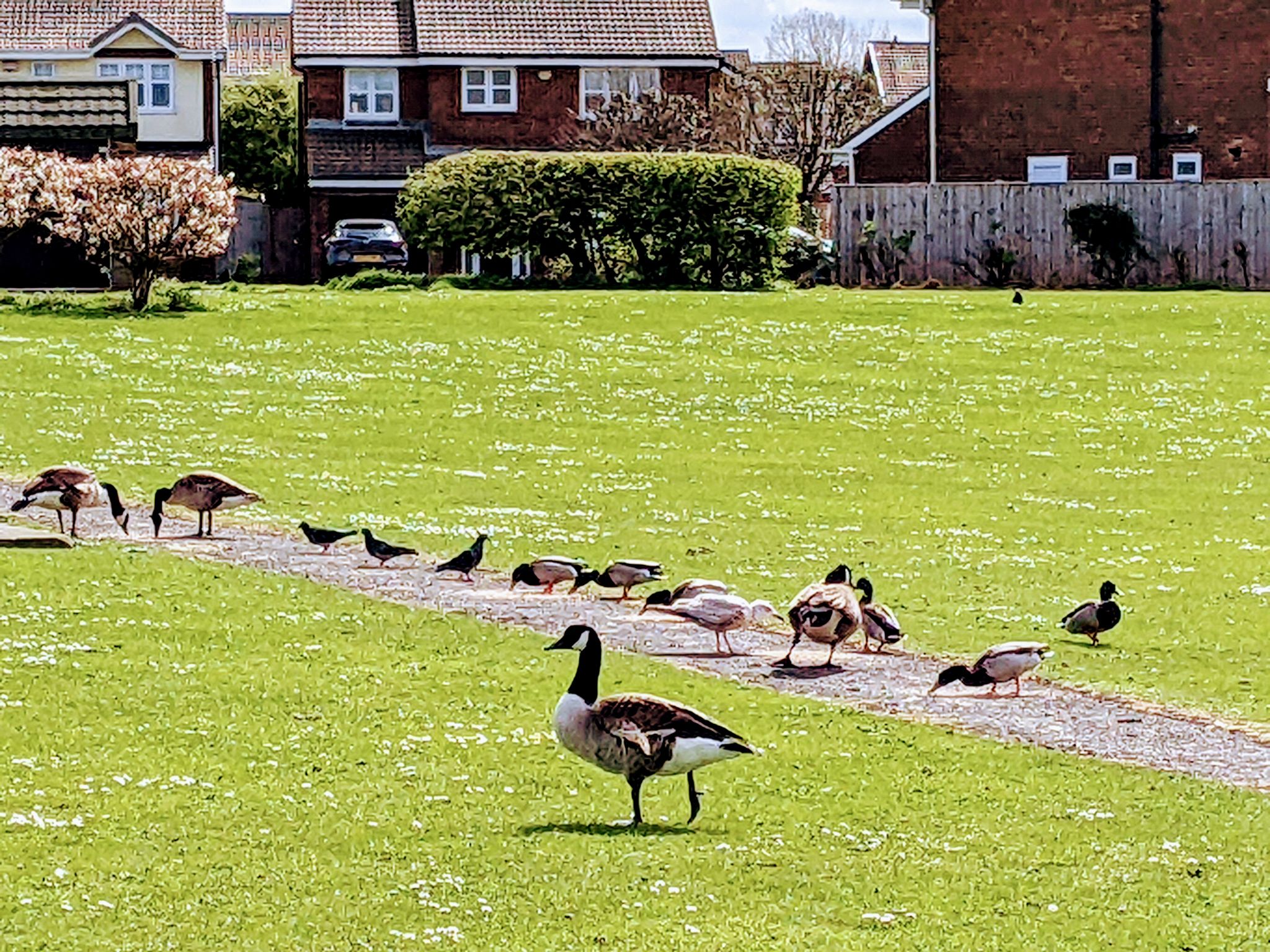 Community photo by Kevan