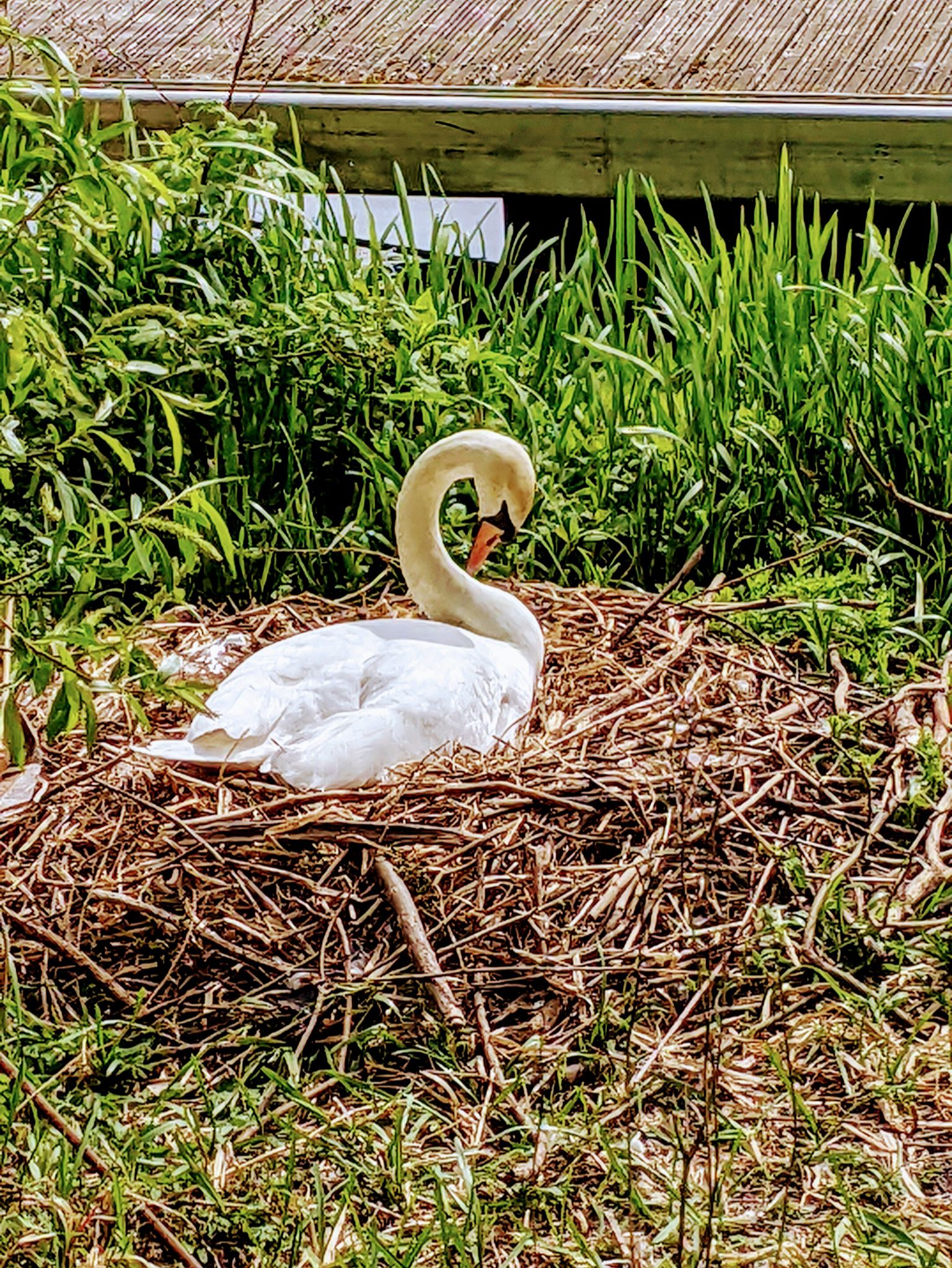 Community photo by Kevan