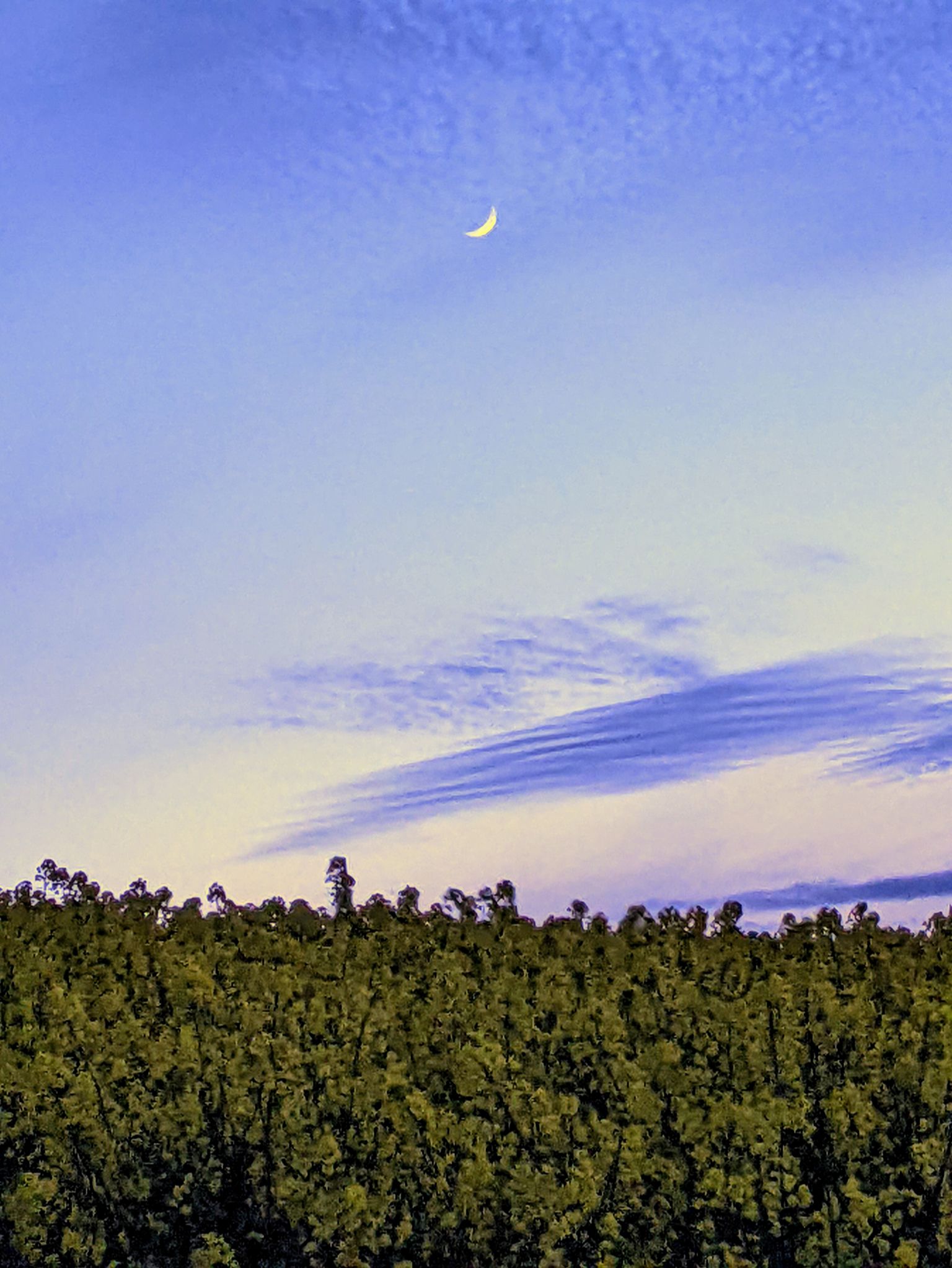 Community photo by Kevan