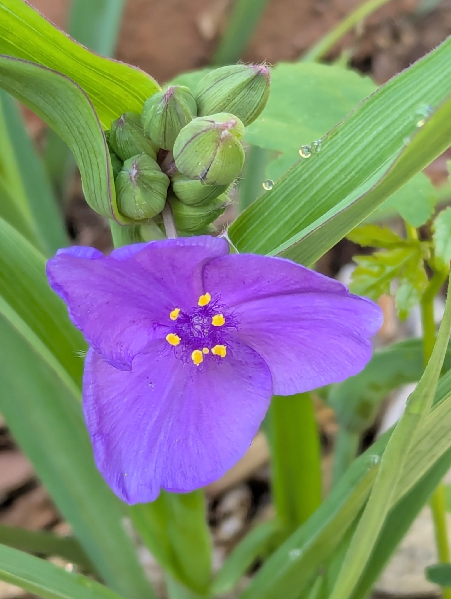 Community photo by Maria