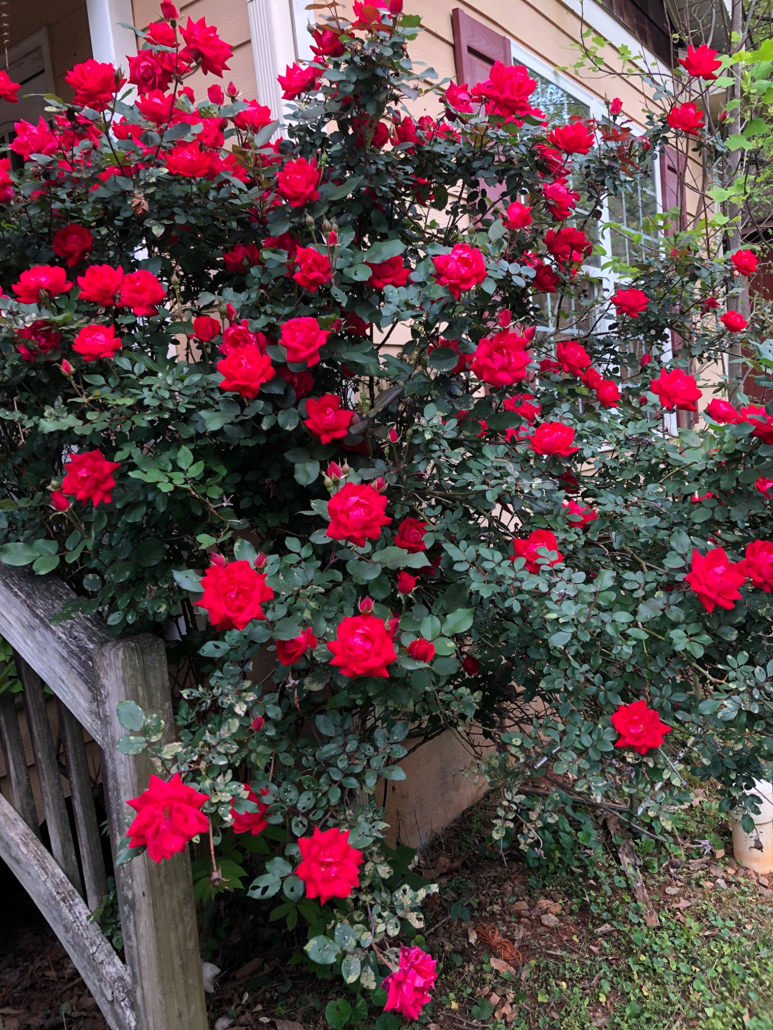 Community photo by Dawn