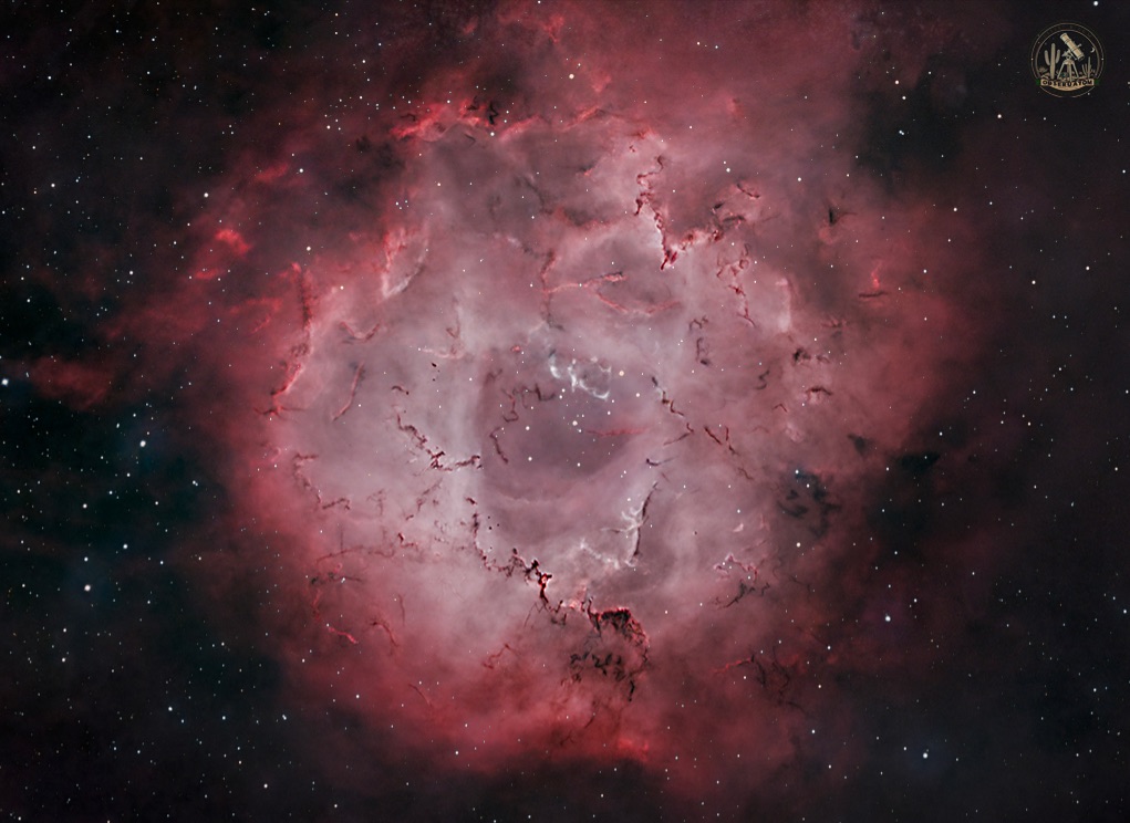 Community photo by Jelieta Walinski Ph.D | Desert Bloom Observatory, AZ, USA