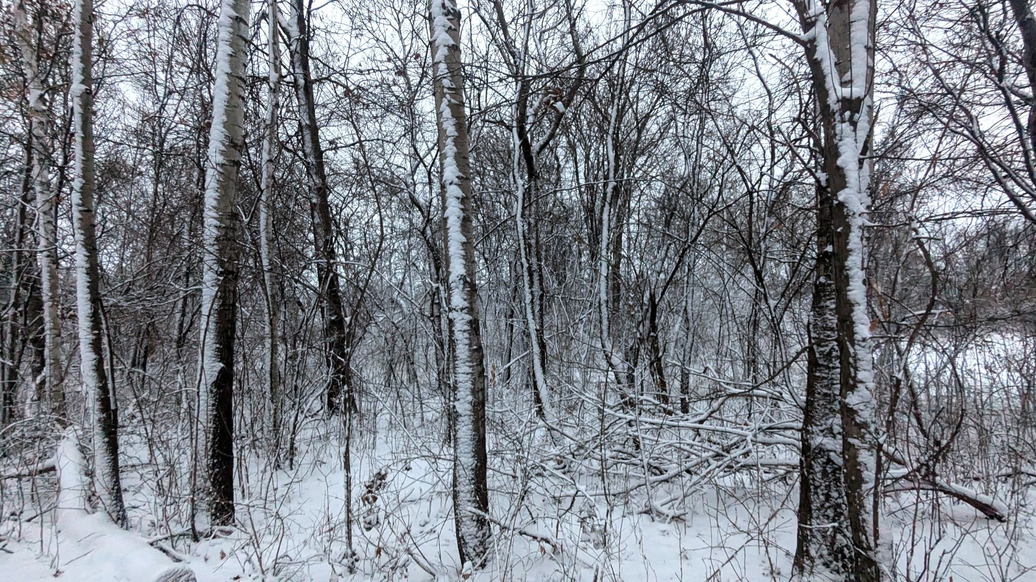 Community photo by Asha