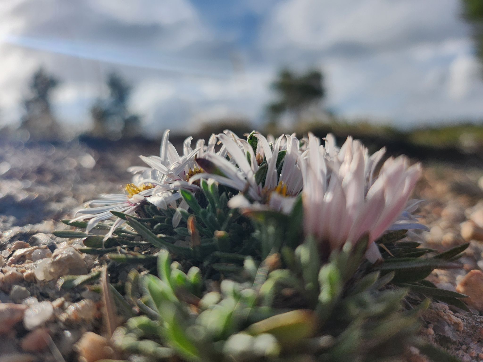 Community photo by Rebecca