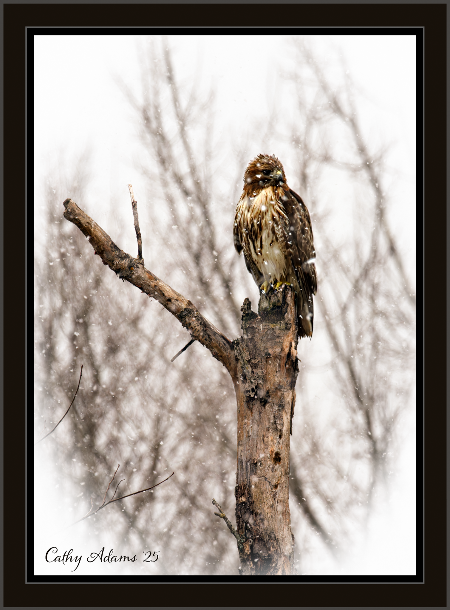 Community photo by Cathy Adams | New Brunswick