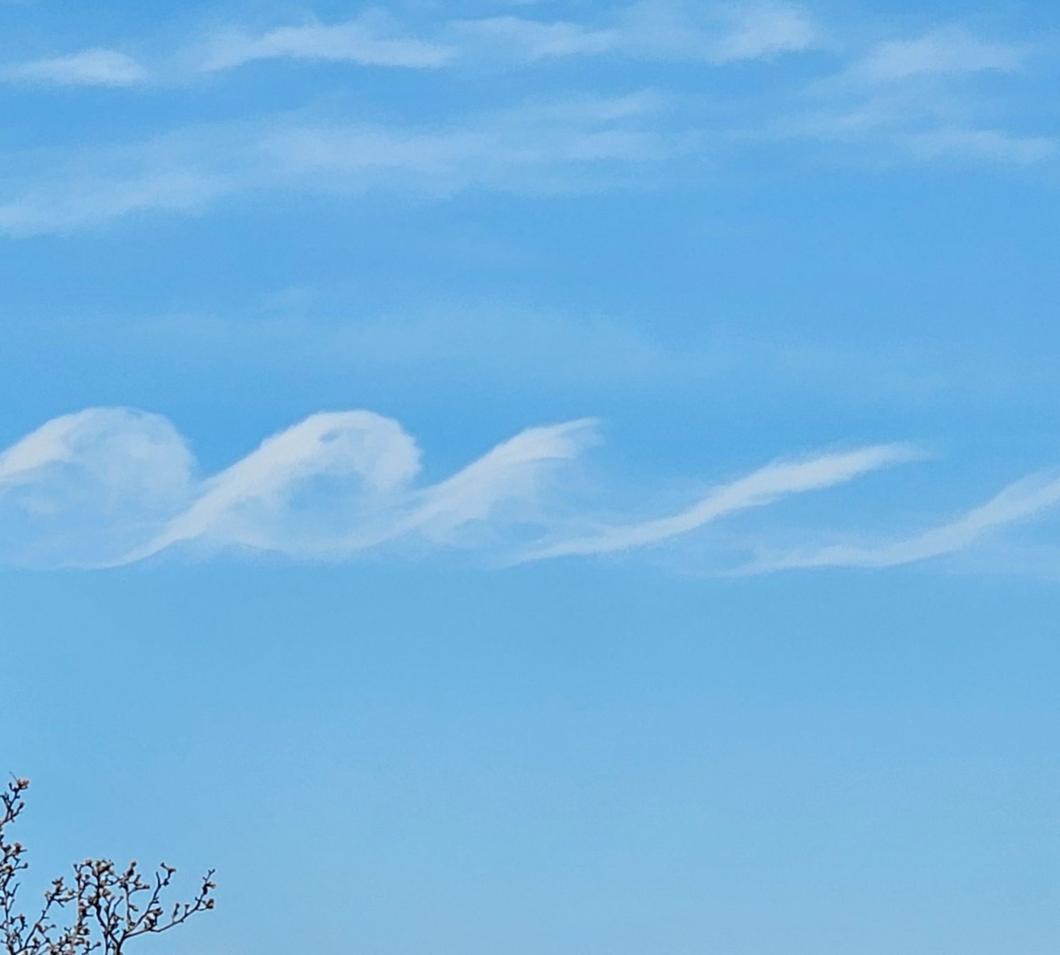 Community photo by Kerri