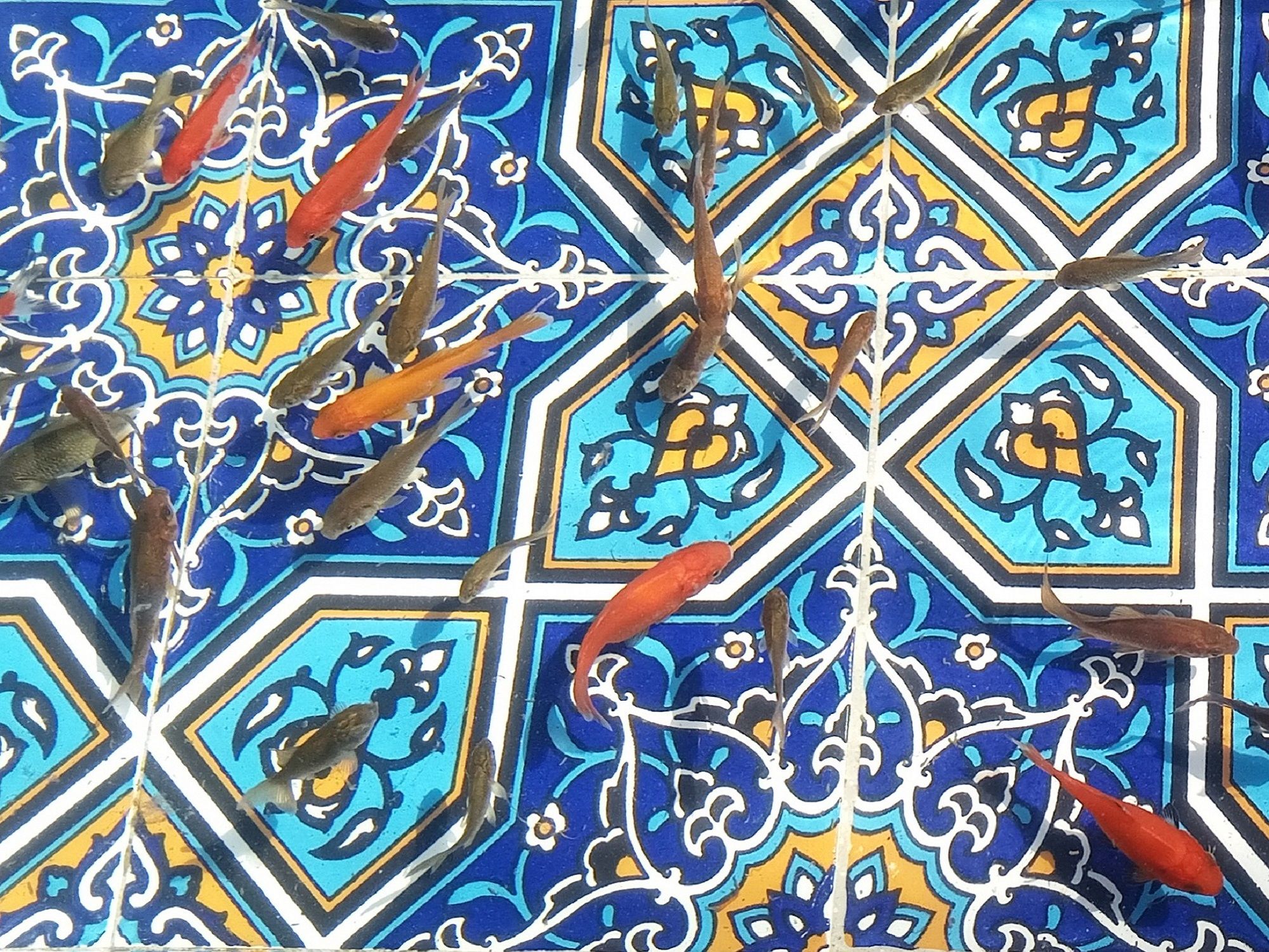 Community photo by Hassan Dadashi  Arani | Esfahan. Iran