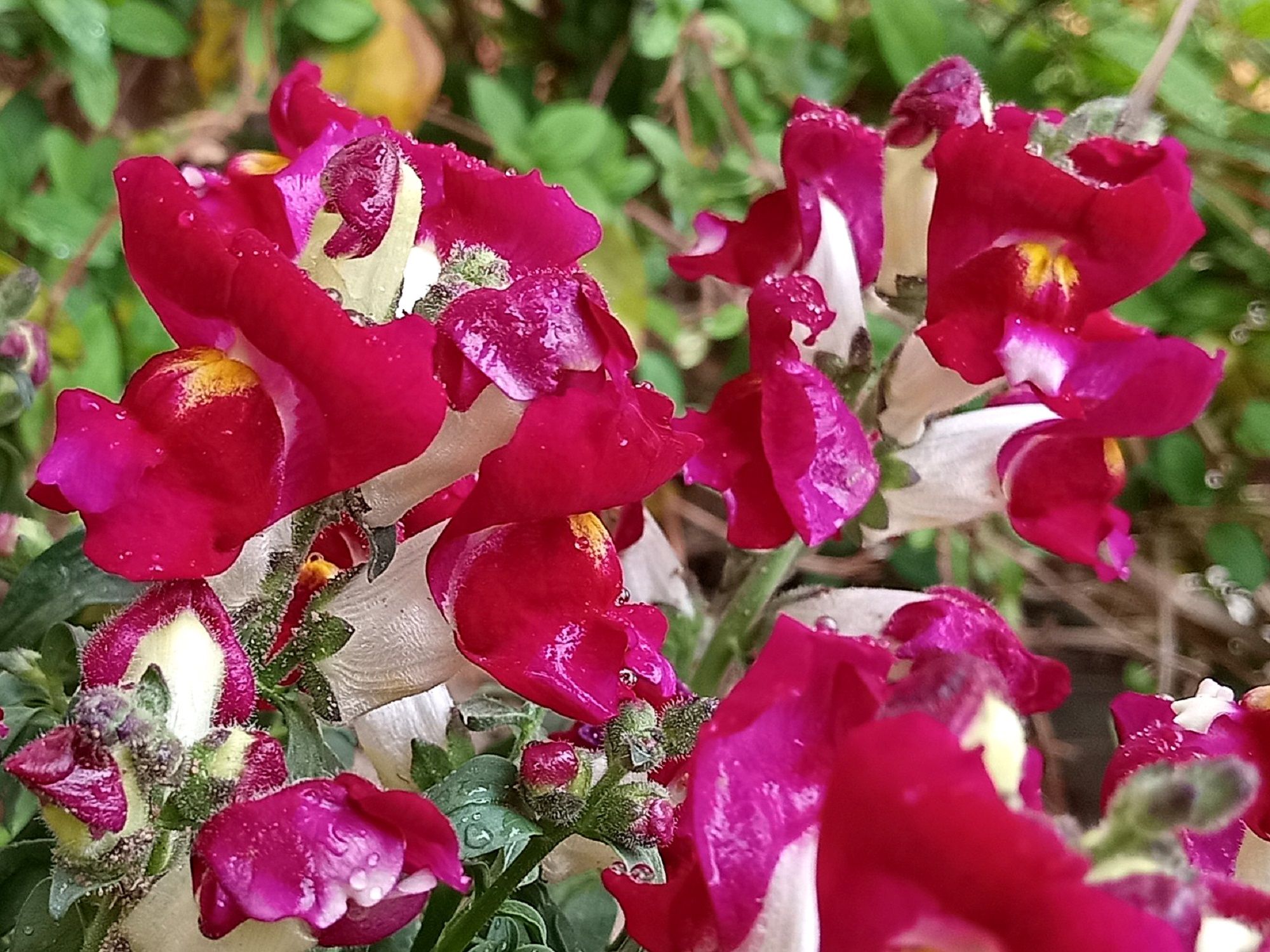 Community photo by Hassan