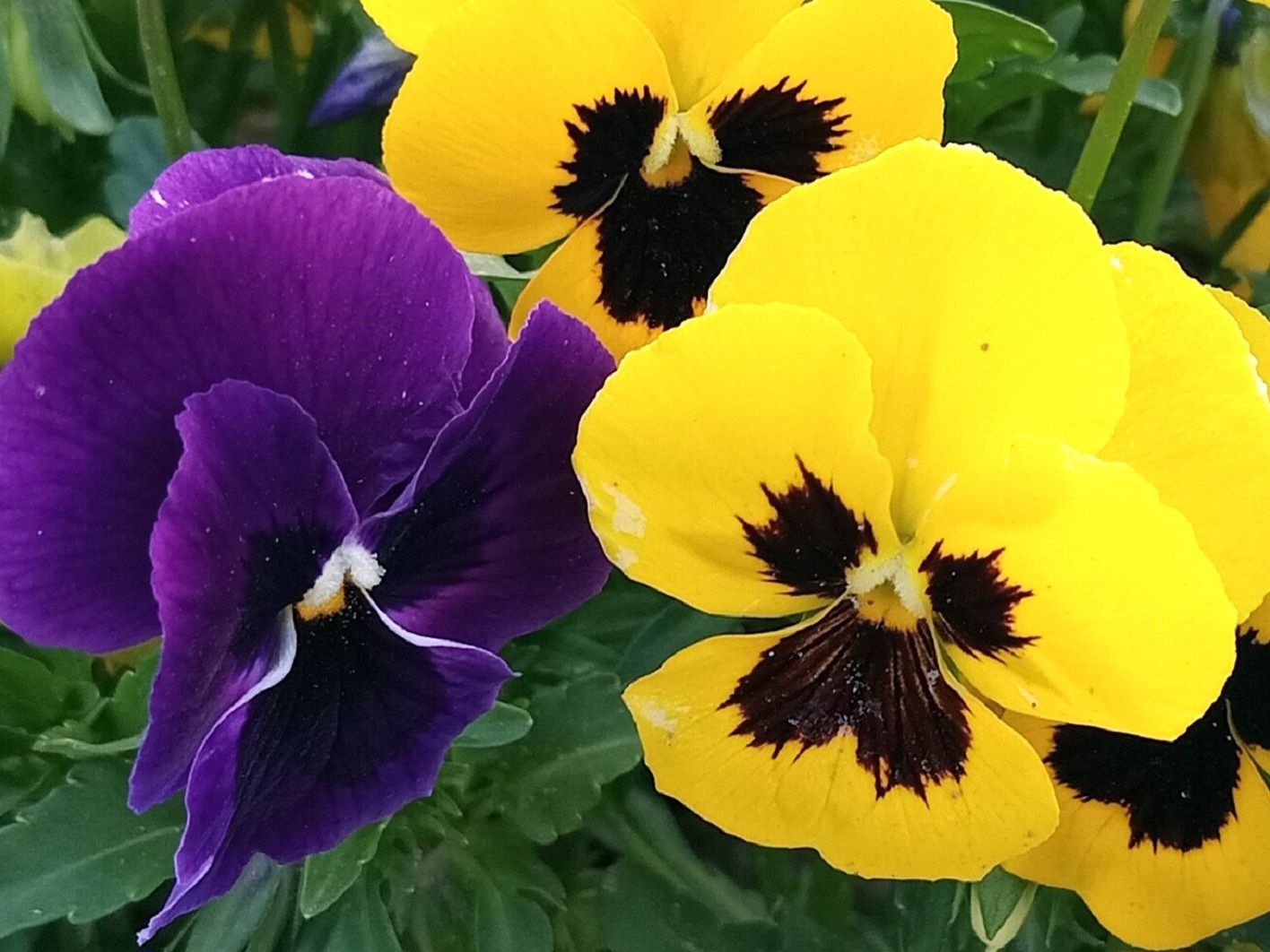 Community photo by Hassan