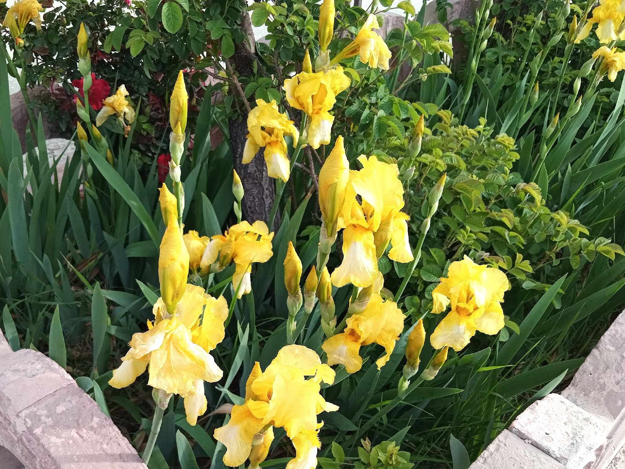 Community photo by Hassan