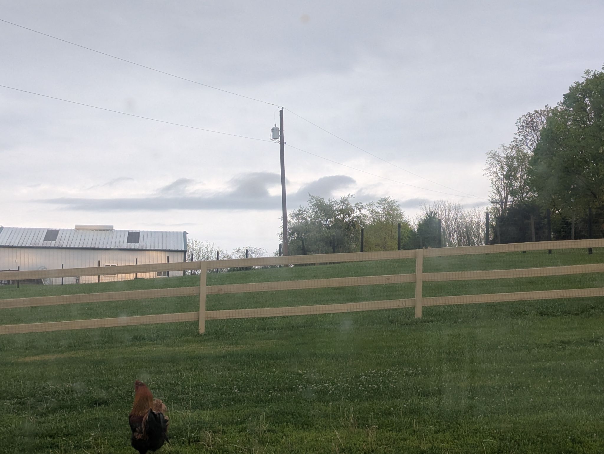 Community photo by Martha