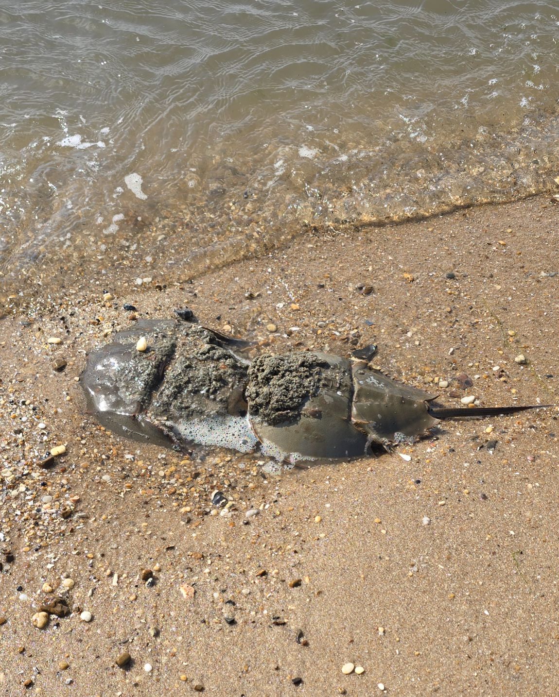 Community photo by Saranya J | Delaware