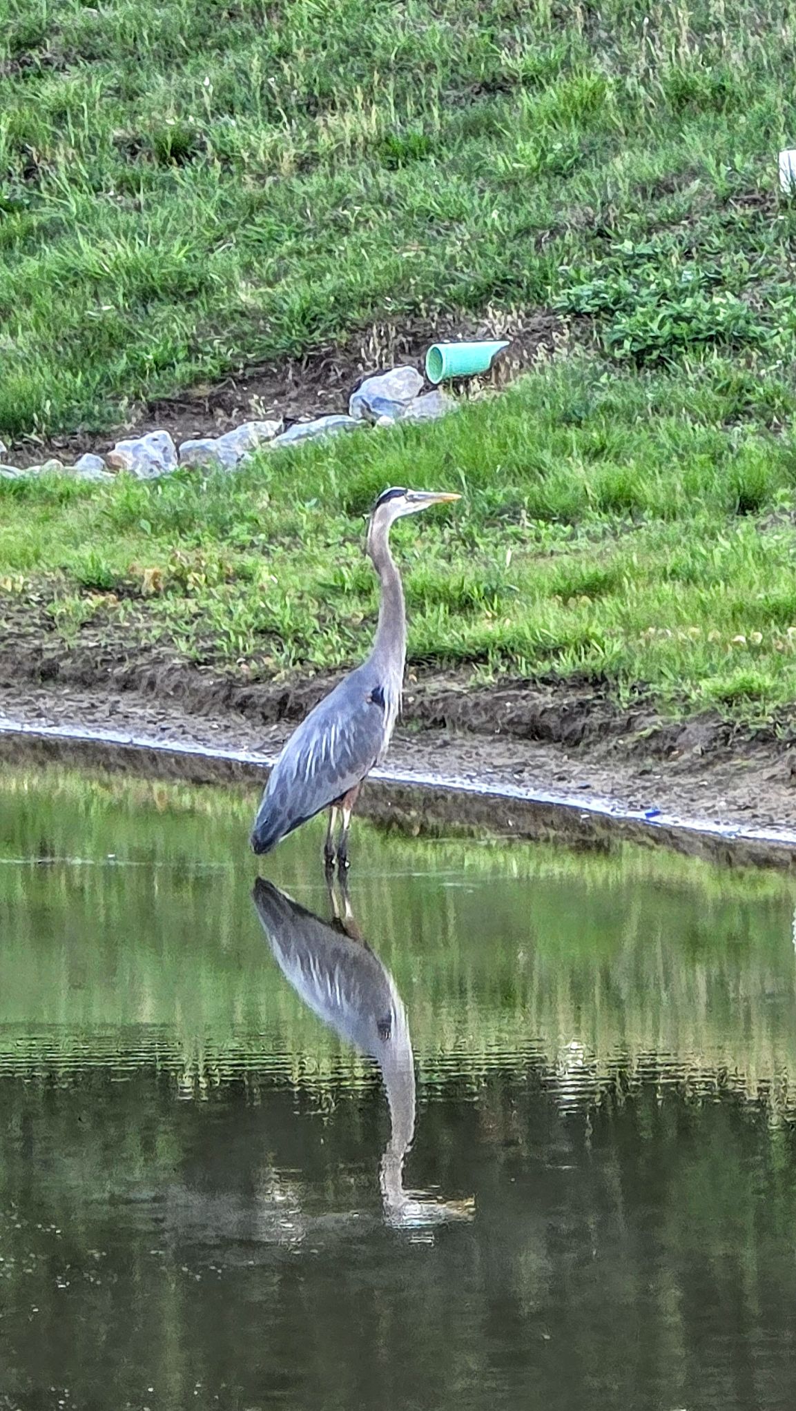 Community photo by Saranya J | Delaware