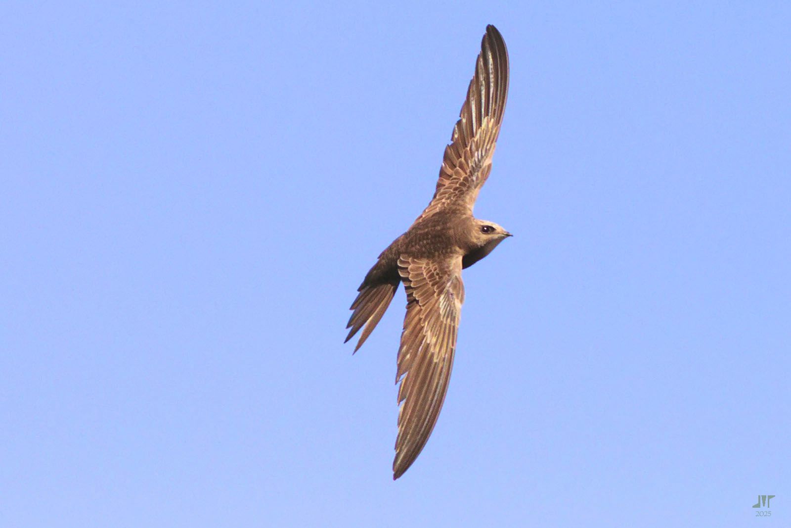 Community photo by juan manuel