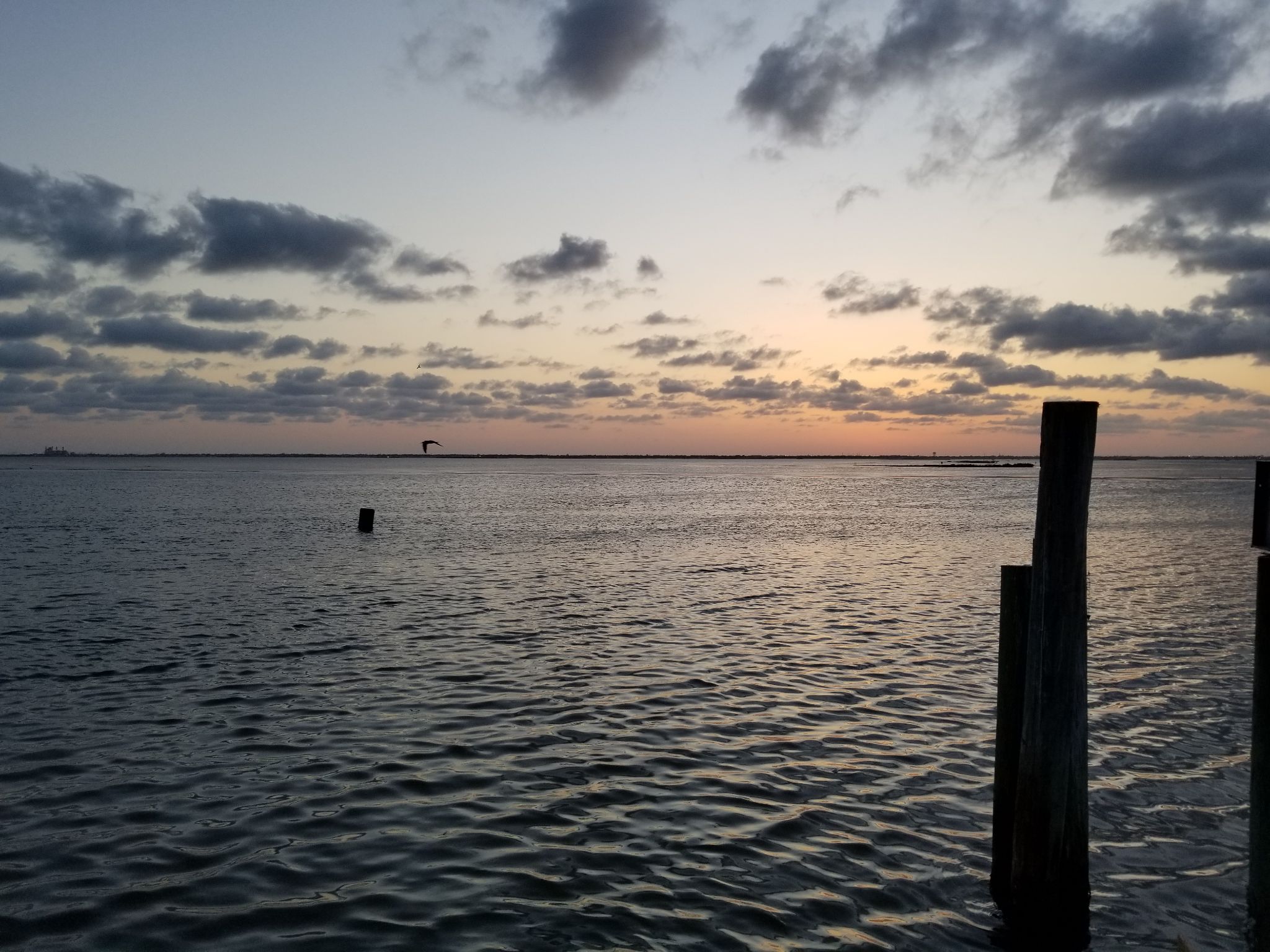 Community photo by C