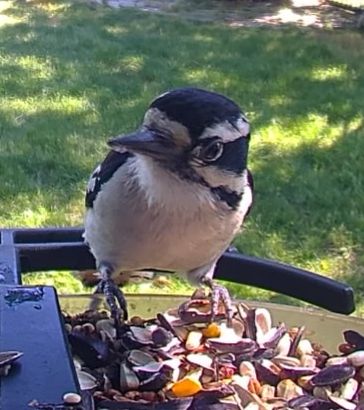 Community photo by Mark