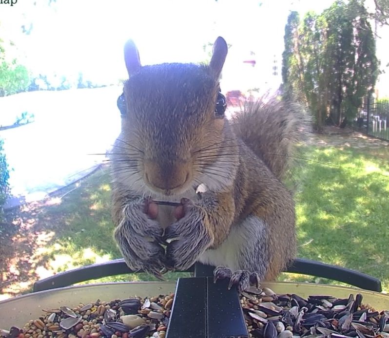 Community photo by Mark