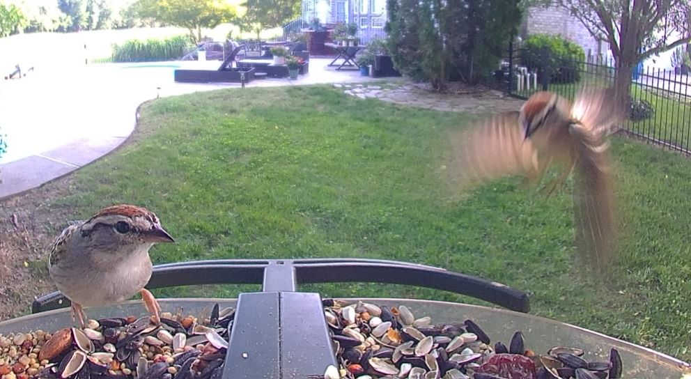 Community photo by Mark