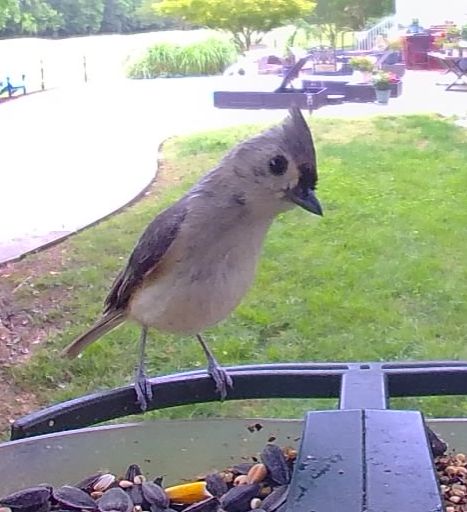 Community photo by Mark