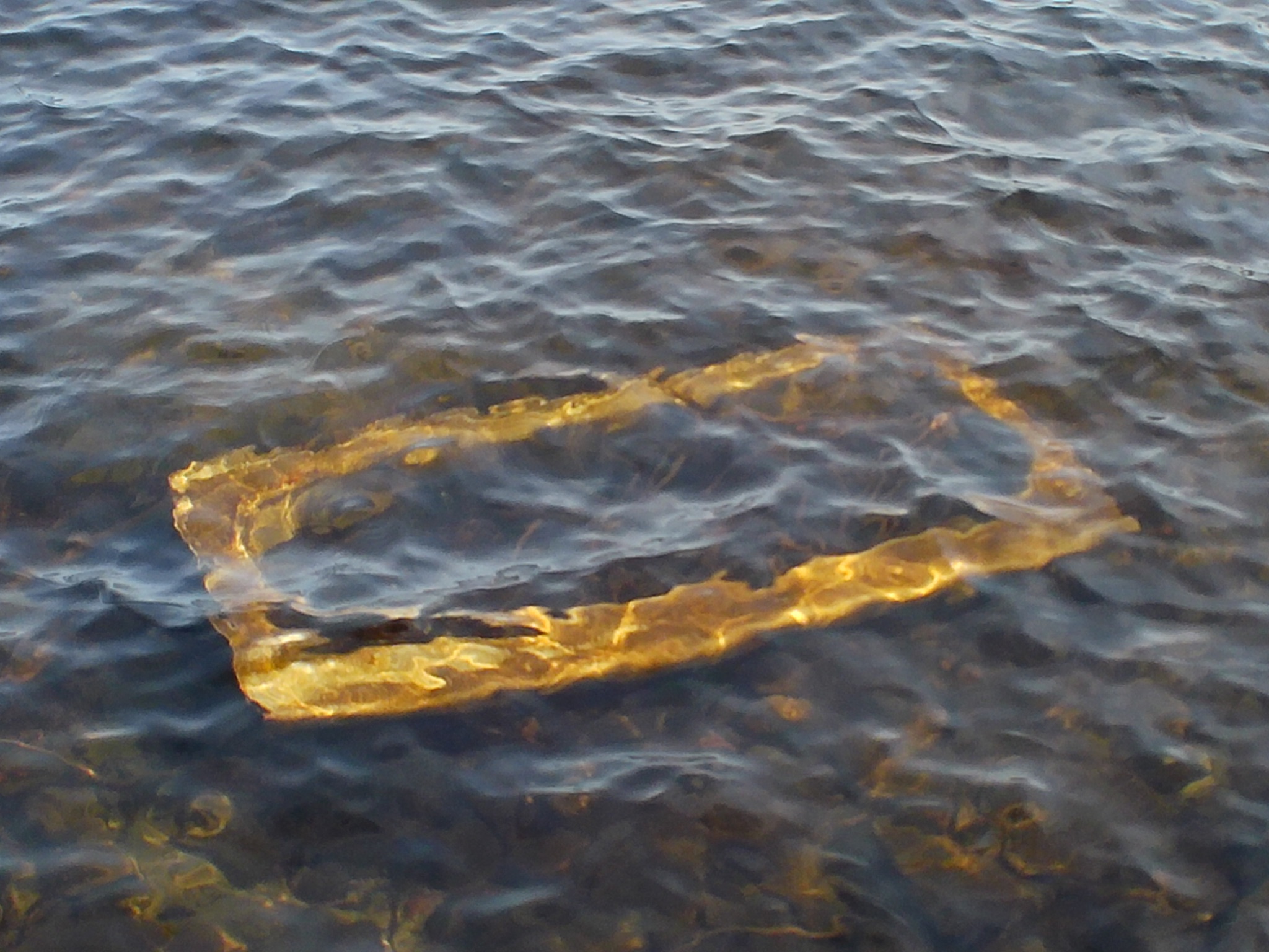 Community photo by Shannon