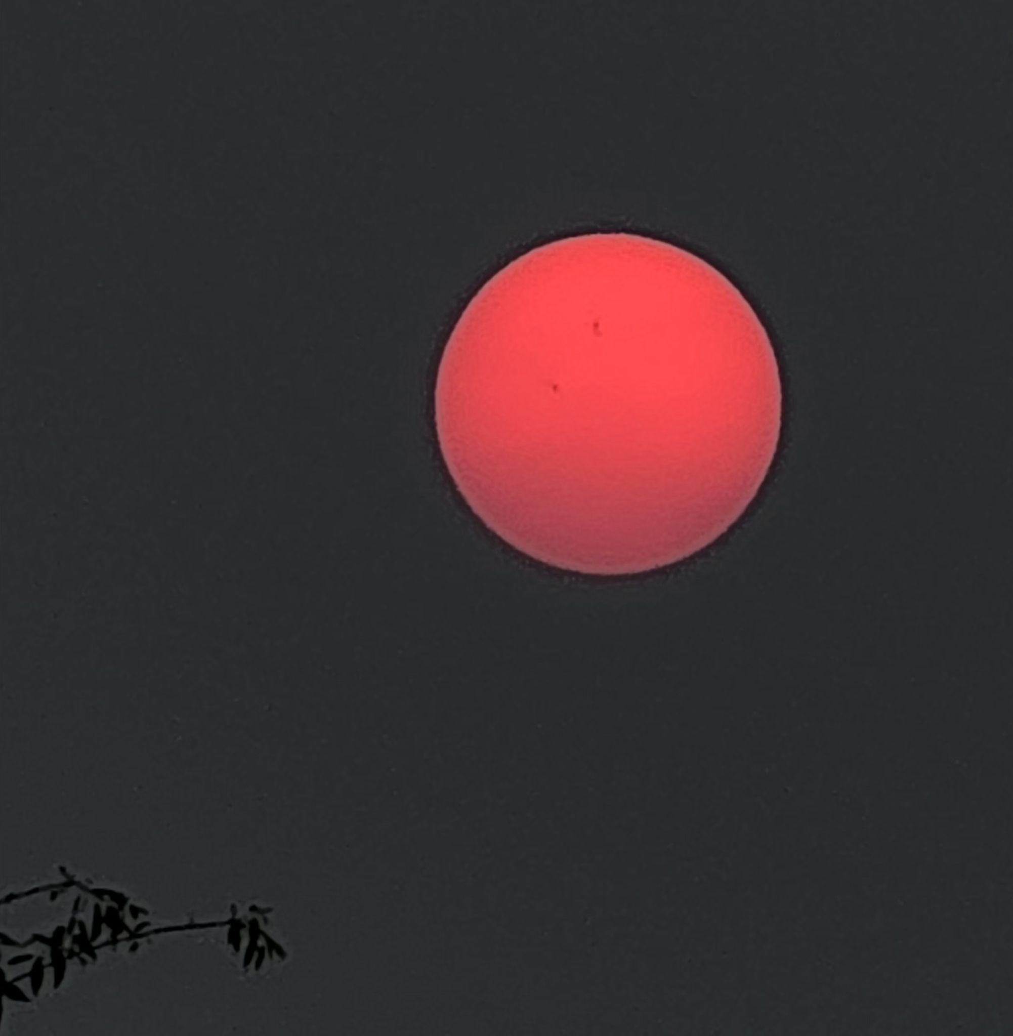 Community photo by Barbara