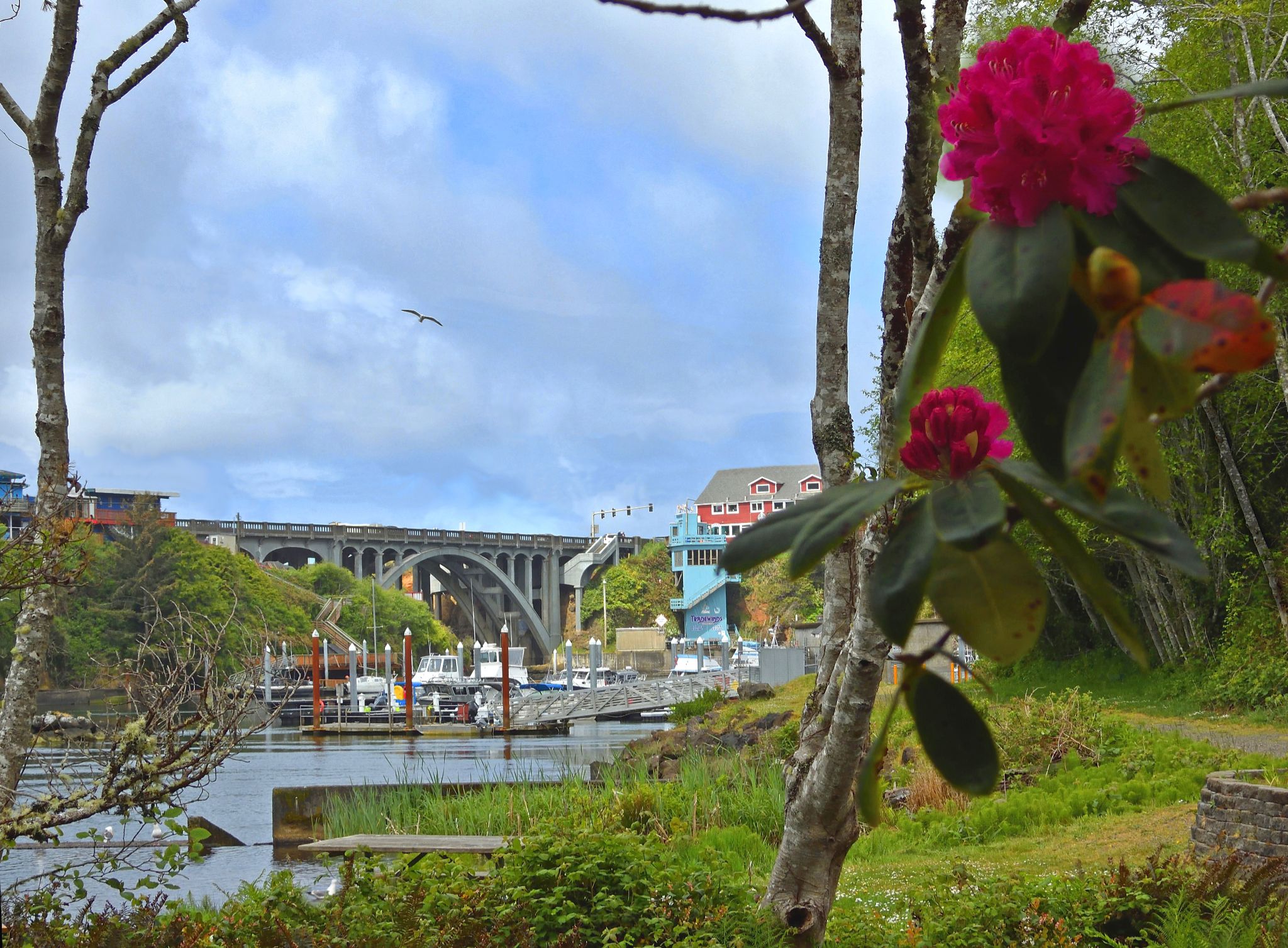 Community photo by Cecille