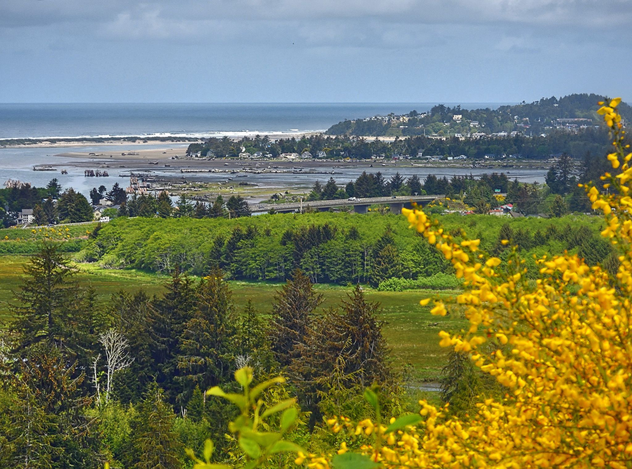 Community photo by Cecille Kennedy | Lincoln City, Oregon