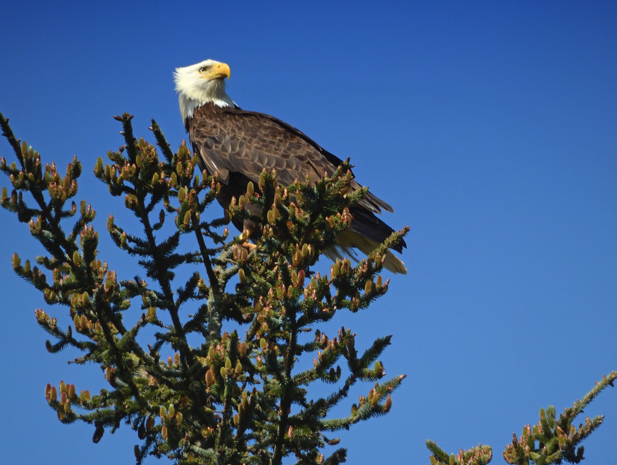 Community photo by Cecille Kennedy | Depoe Bay Harbor, Oregon