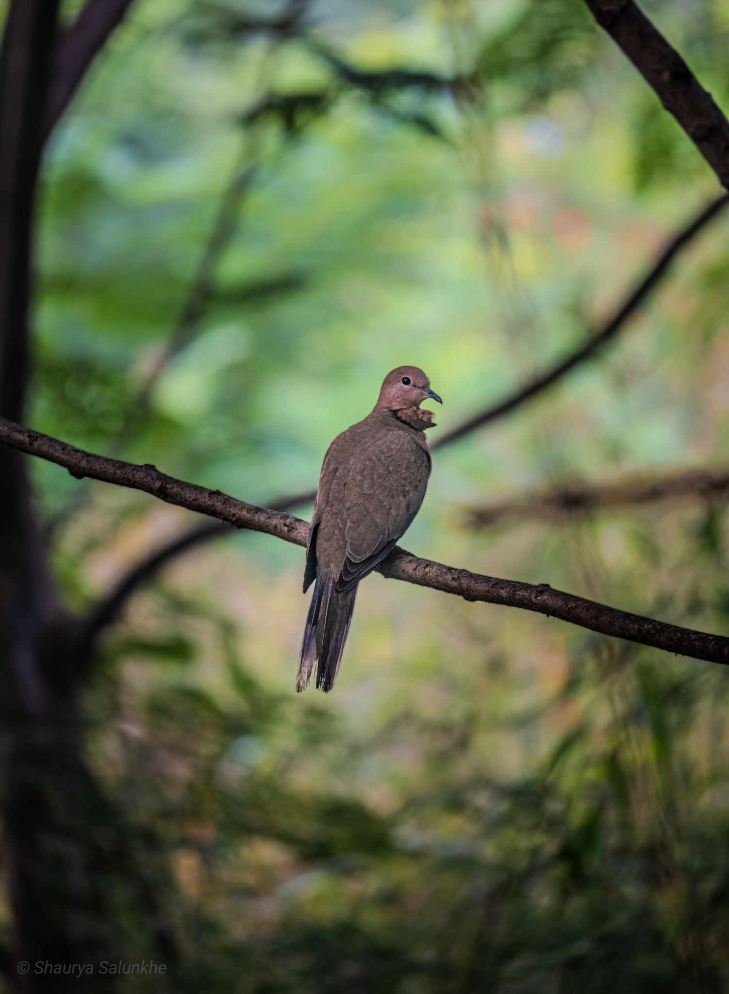 Community photo by Shaurya