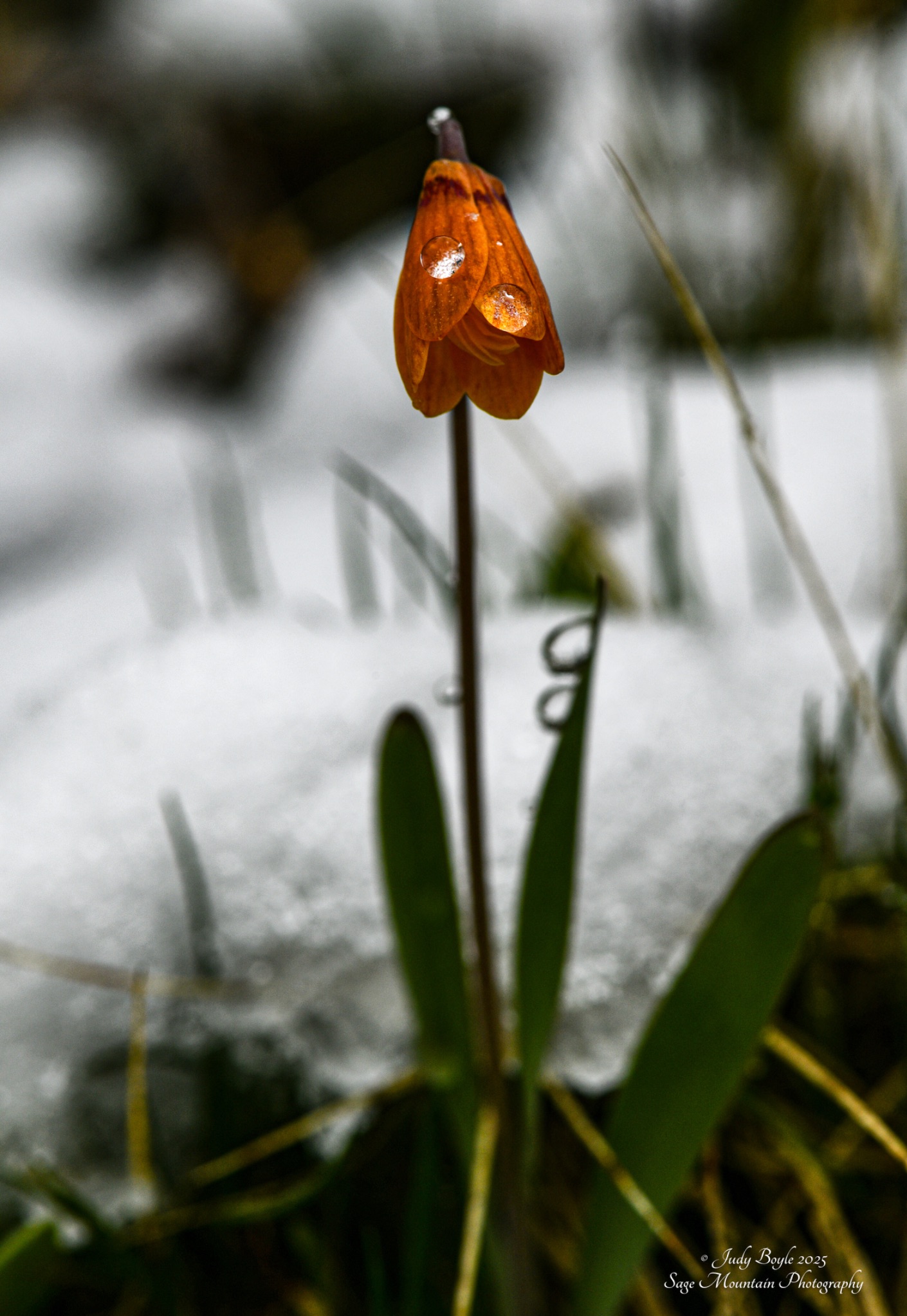 Community photo by Judy