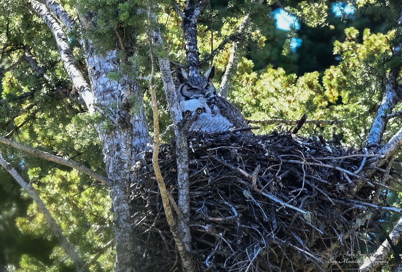 Community photo by Judy