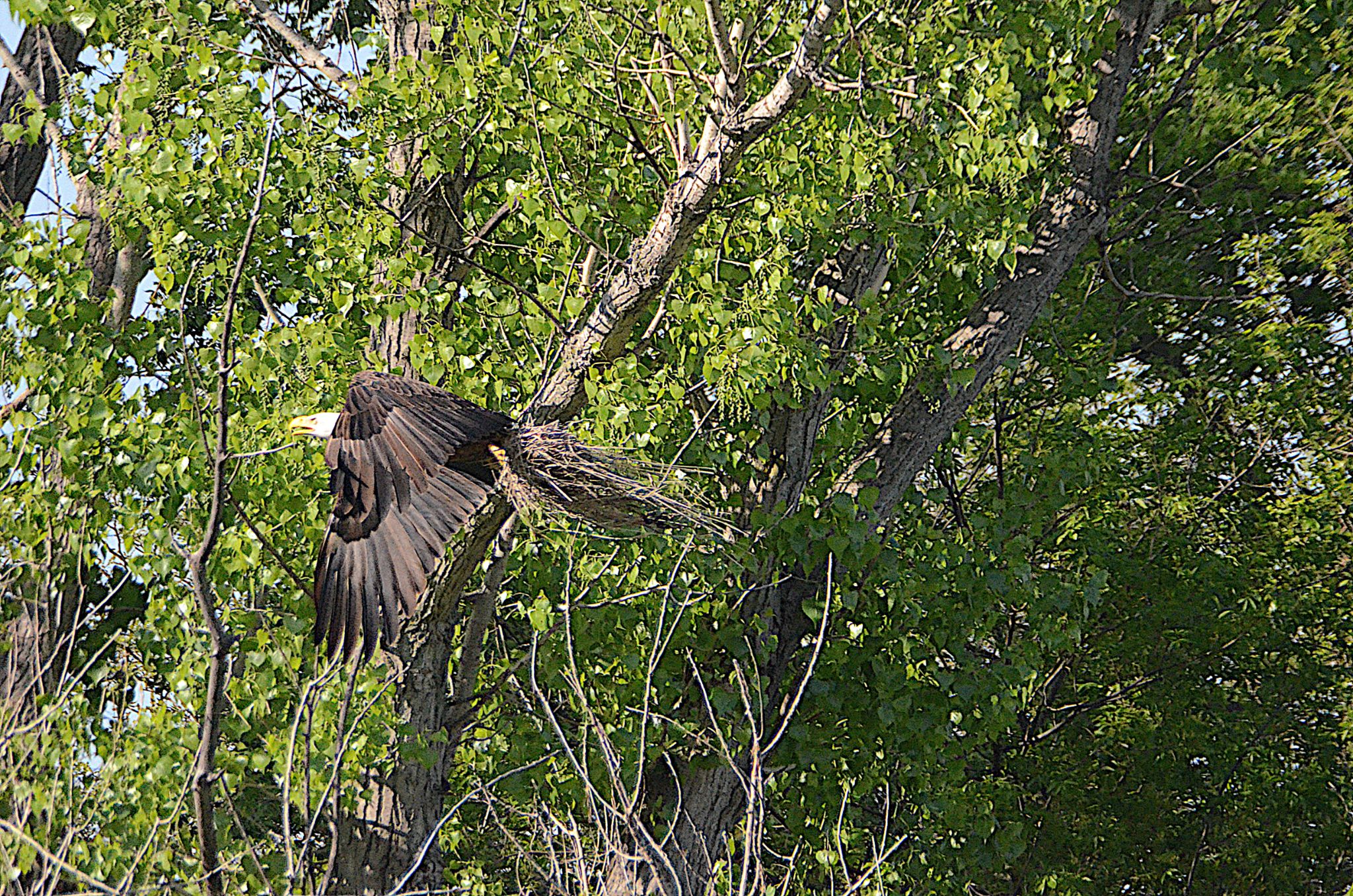 Community photo by Randy