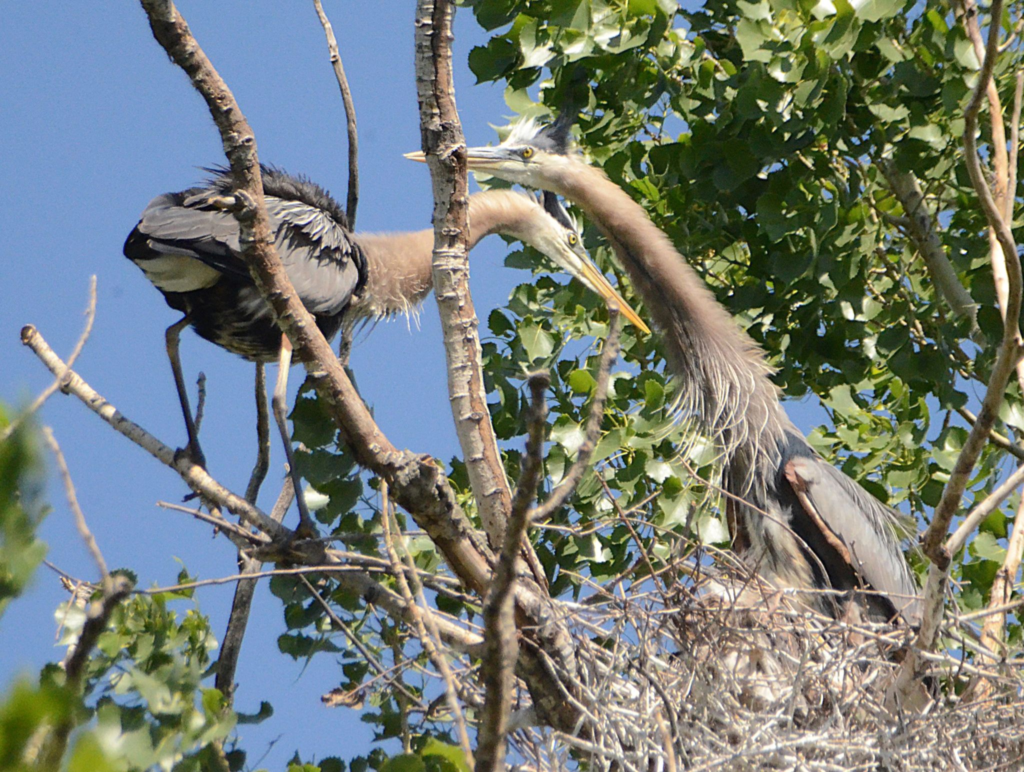 Community photo by Randy