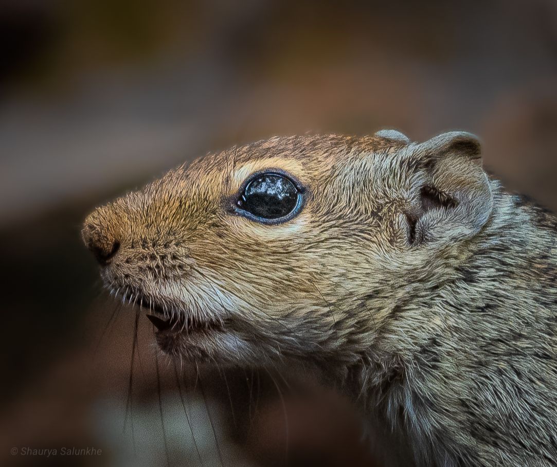 Community photo by Shaurya