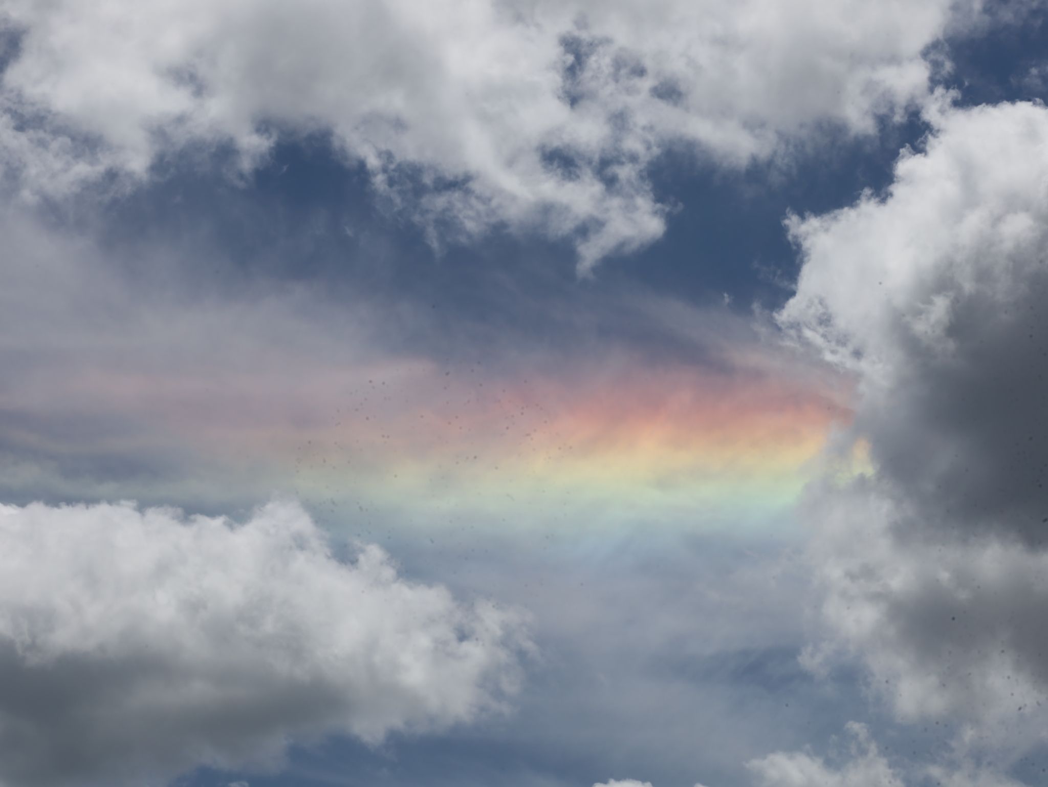 Community photo by Charles Dollard | Palm Coast, Florida