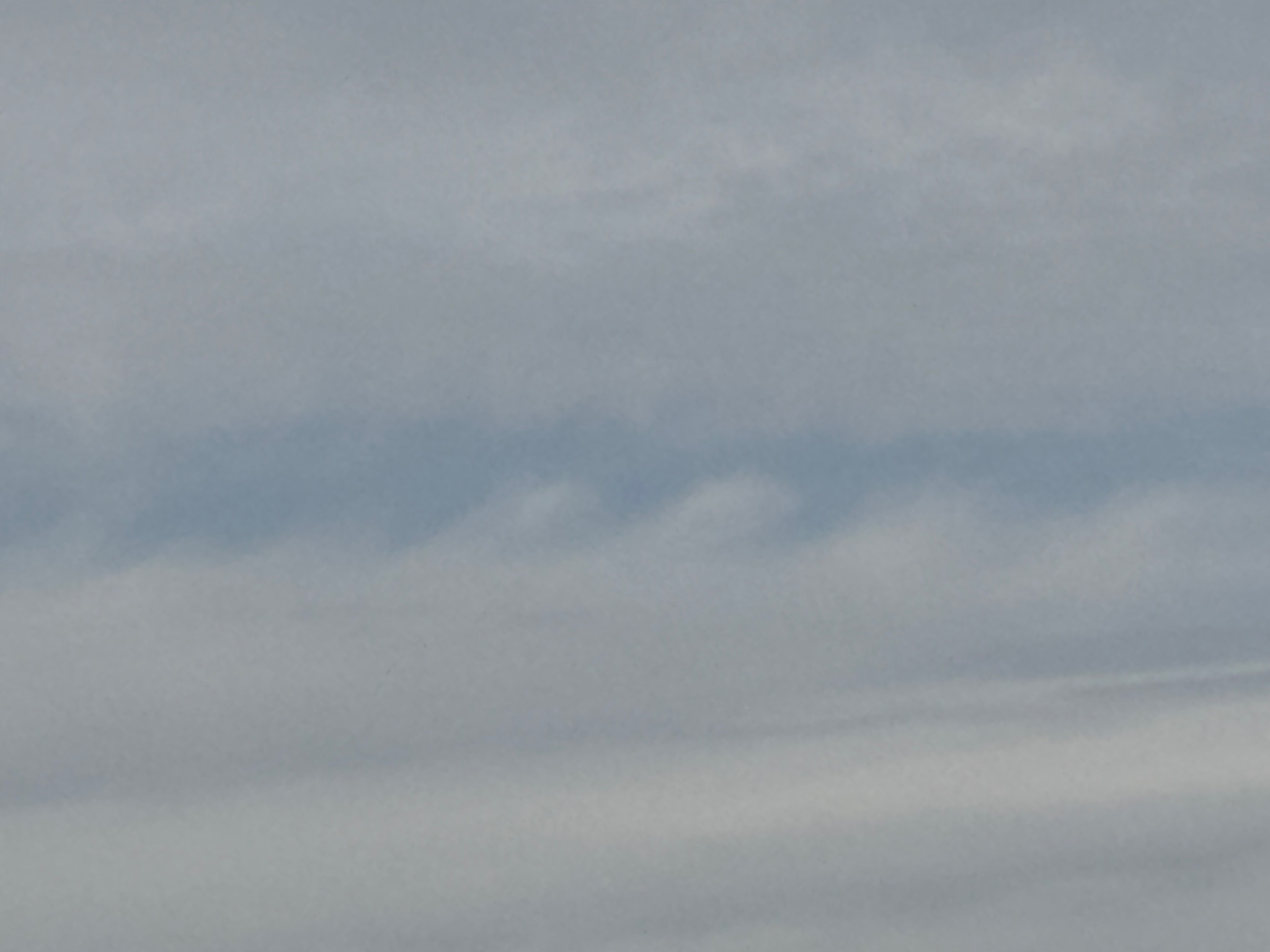 Community photo by Brett