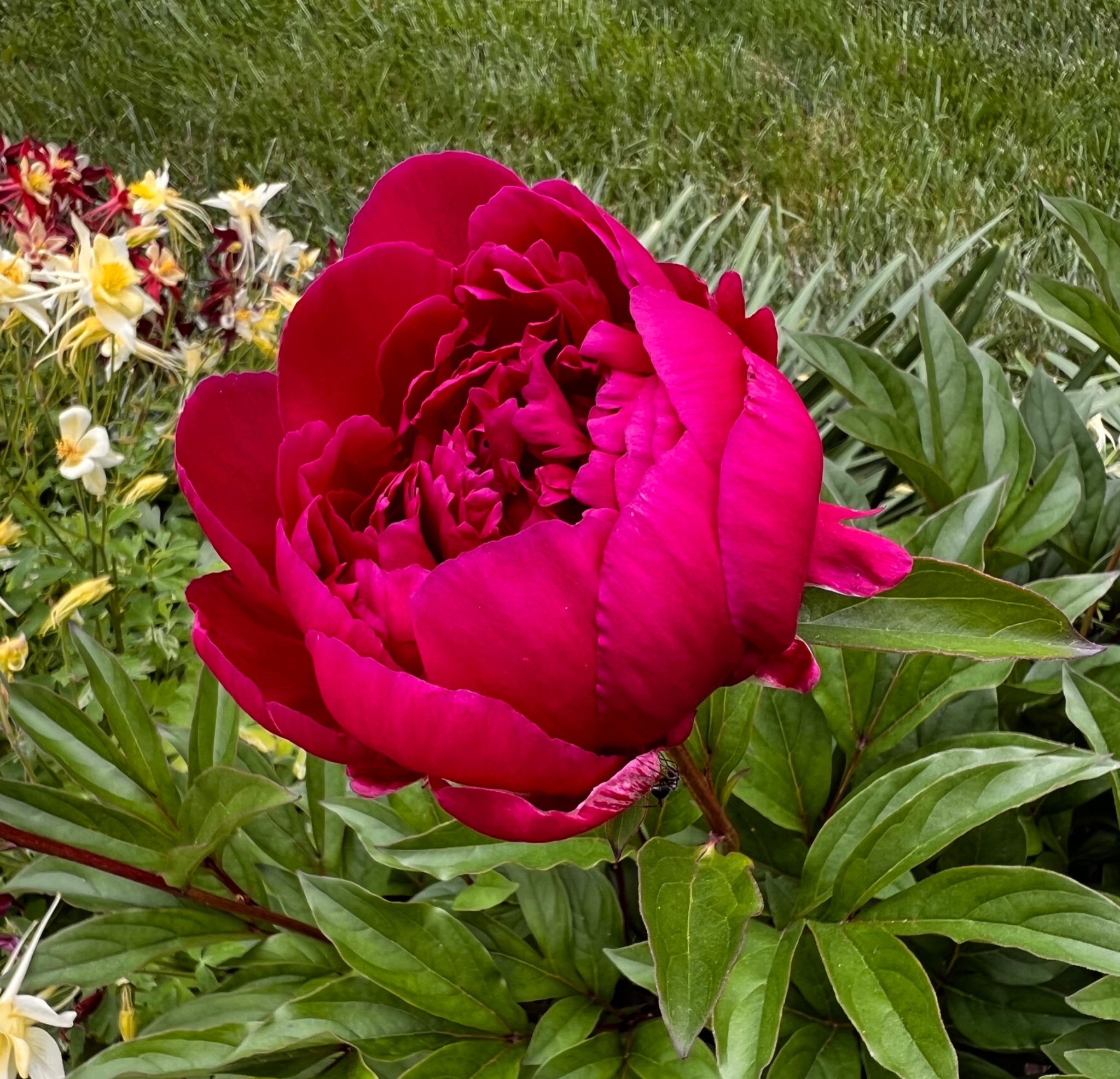 Community photo by Sudhir